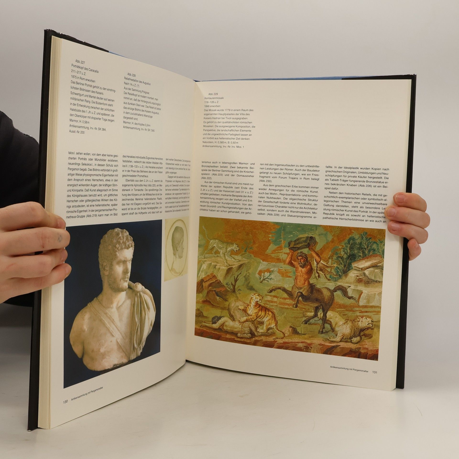 Kolektiv autorů Die Museumsinsel zu Berlin