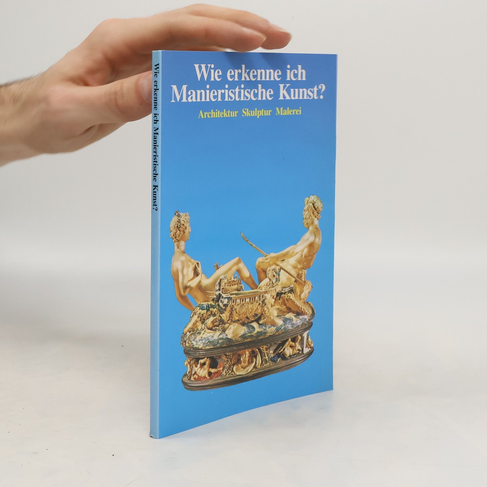 Autorenkollektiv Wie erkenne ich Manieristische Kunst?