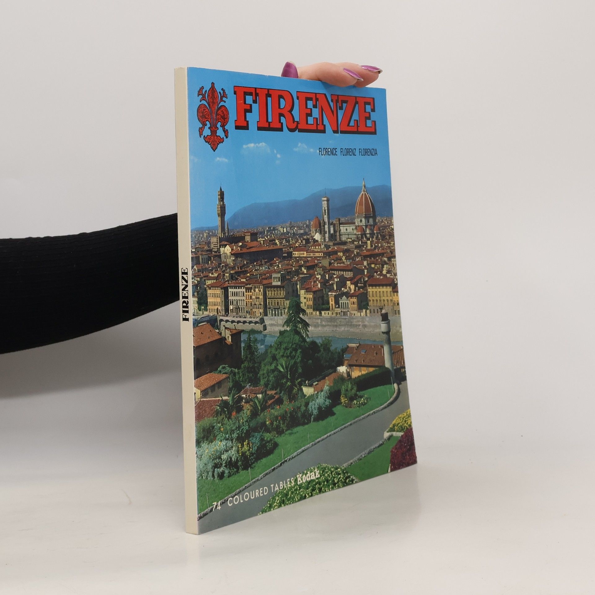 Kolektív autorov Firenze