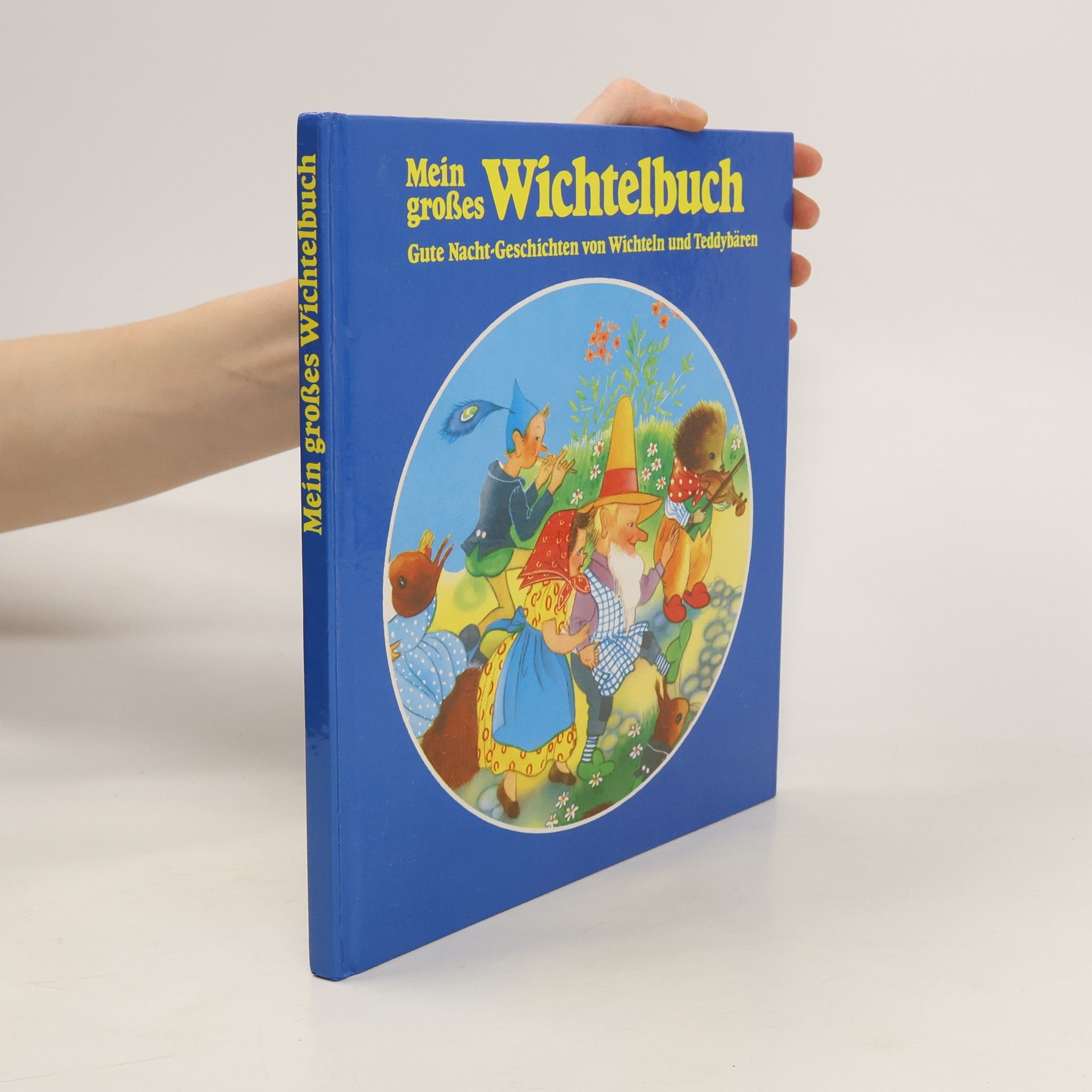 kolektiv Mein großes Wichtelbuch