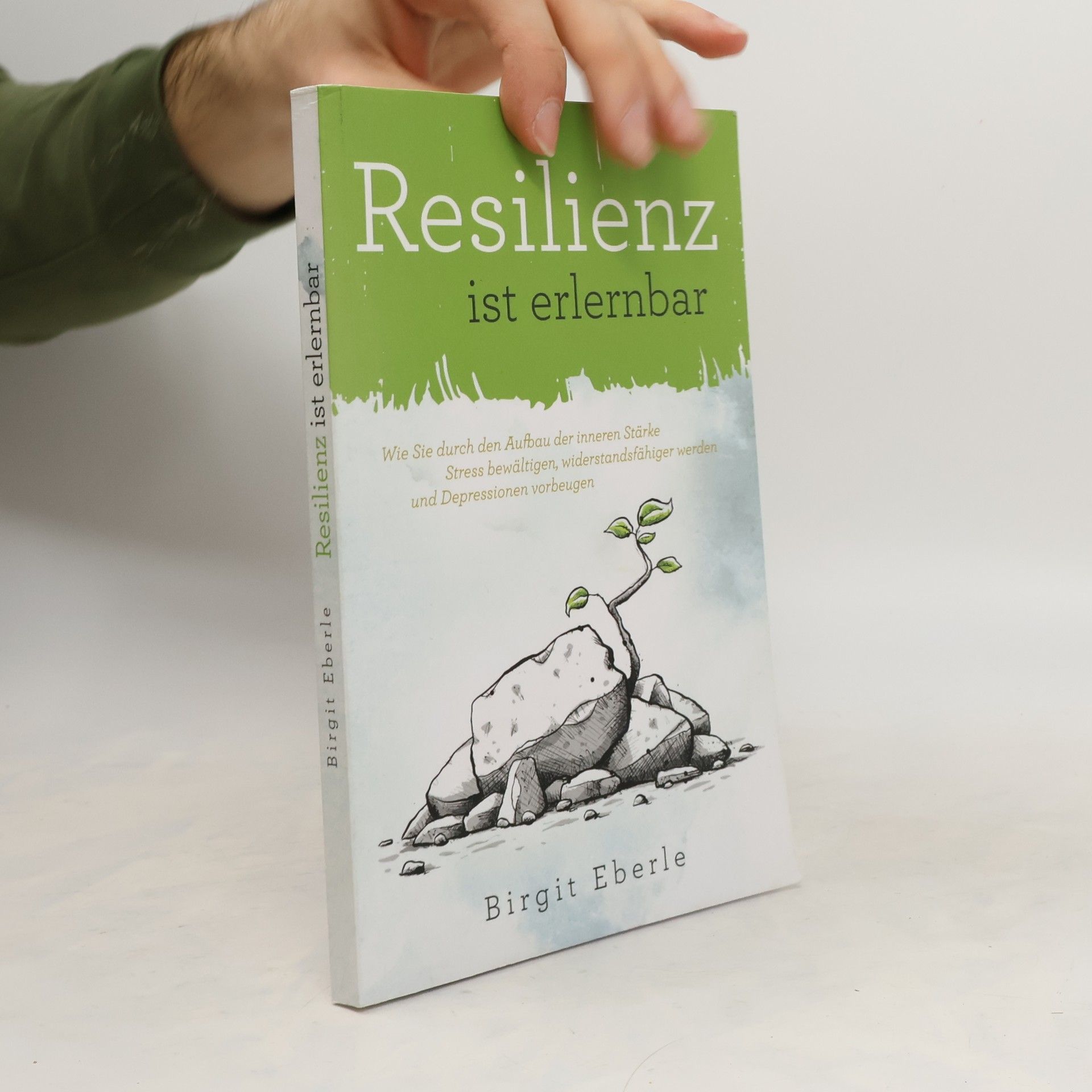 Birgit Eberle Resilienz ist erlernbar
