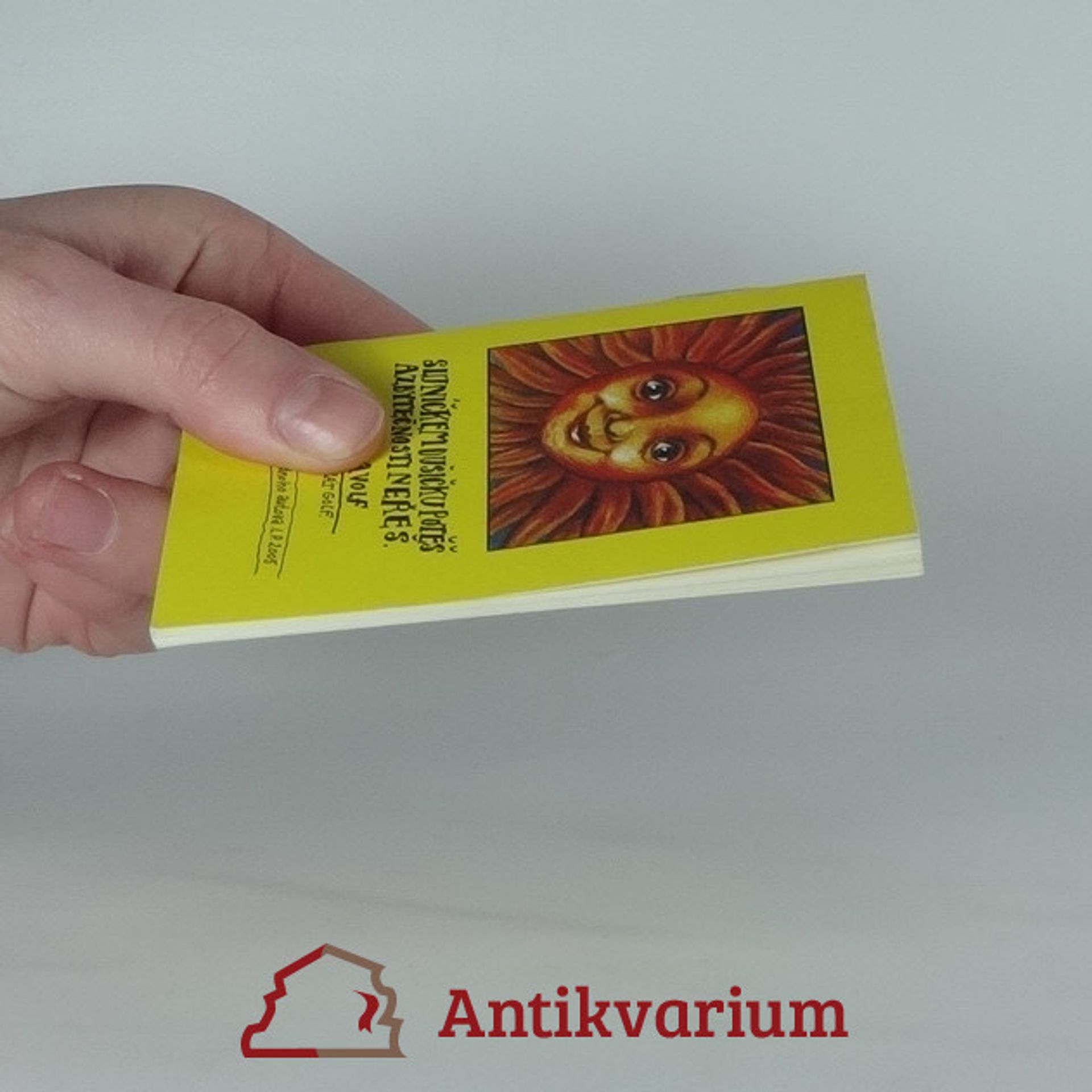 Honza Volf Sluníčkem dušičku potěš a zbytečnosti neřeš