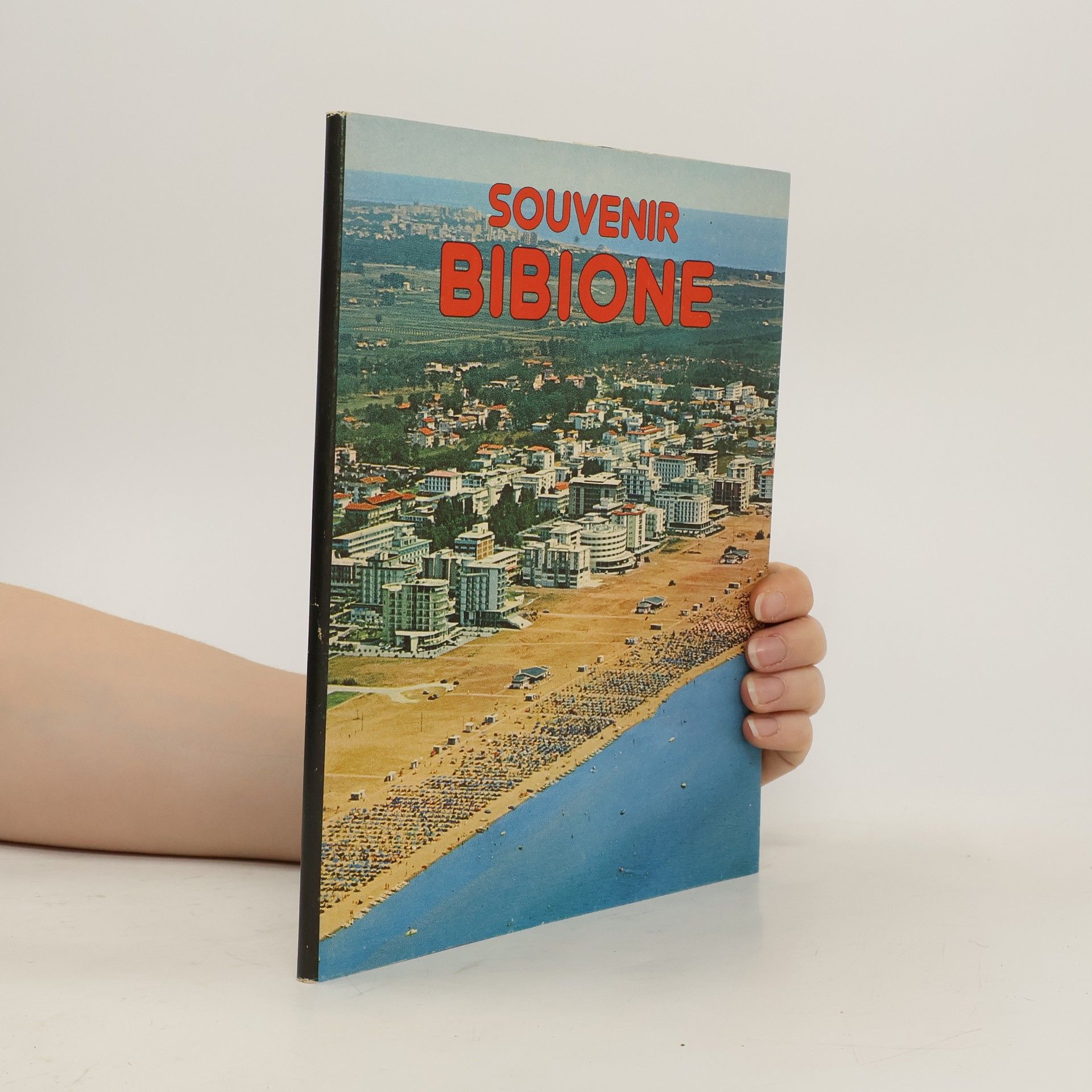 Autorenkollektiv Souvenir Binione