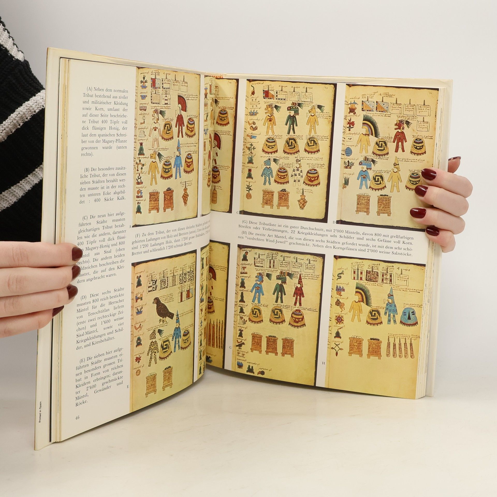Codex Mendoza Aztekische Handschrift