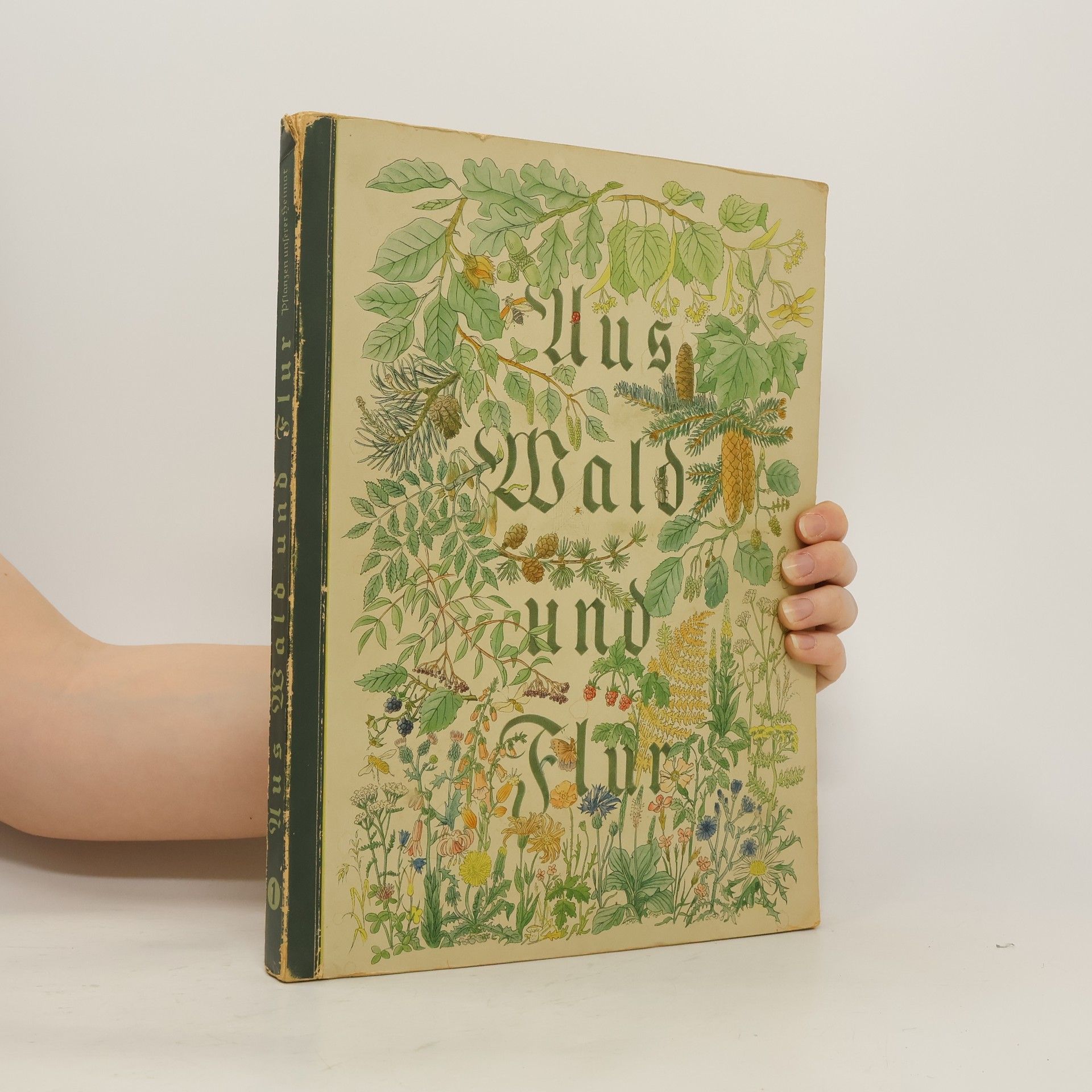 Walter Nöldner Aus Wald und Flur