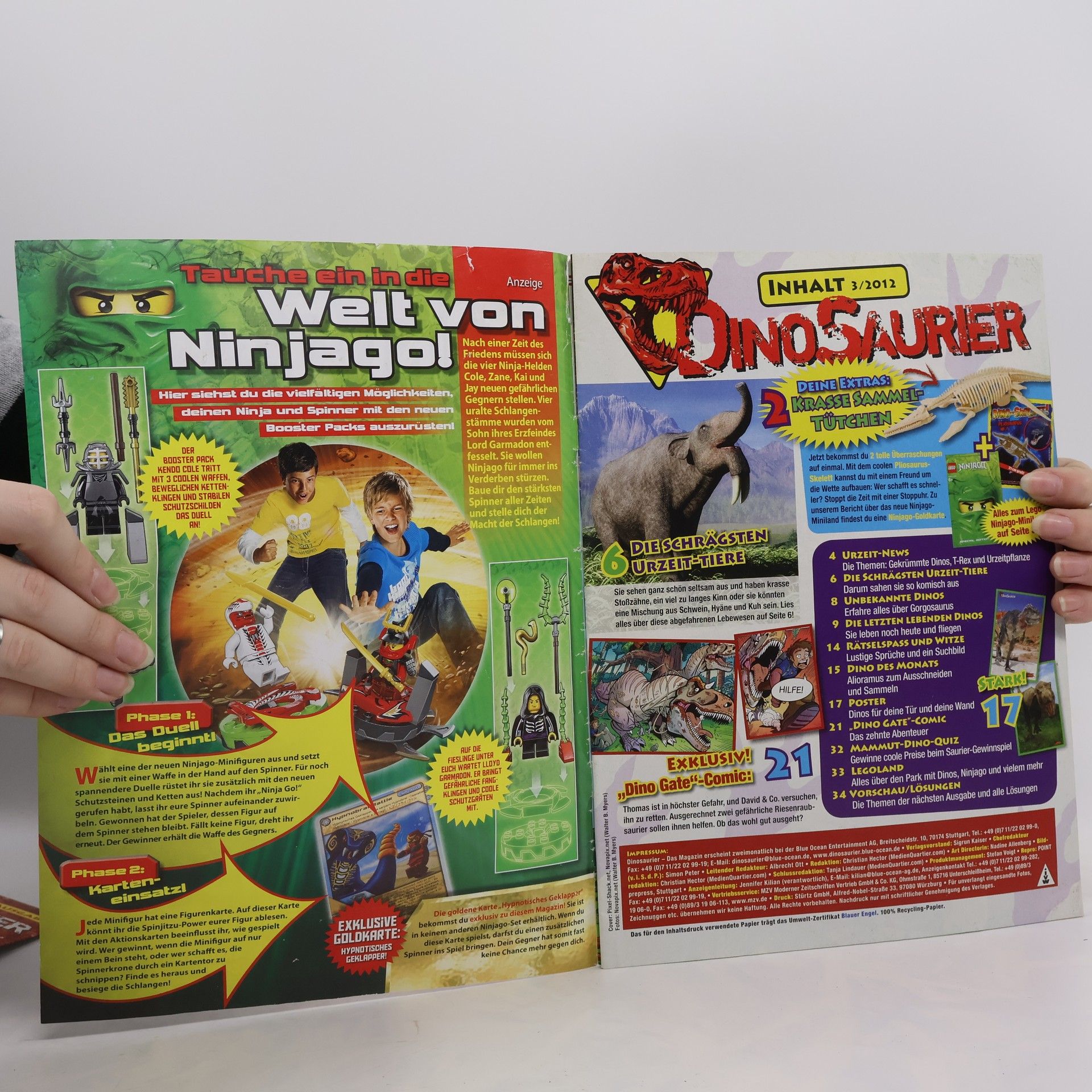 kolektiv Dinosaurier 3/12