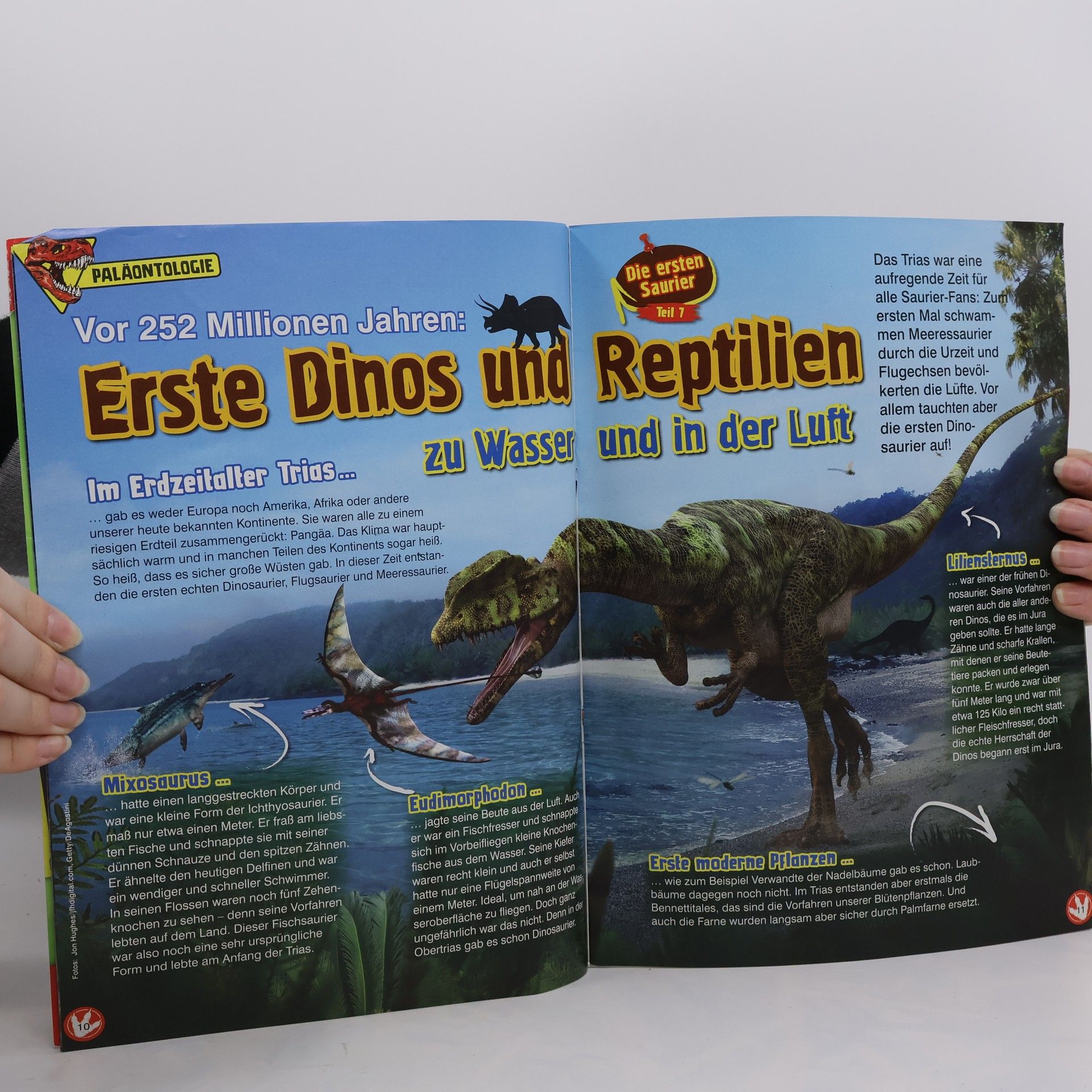 kolektiv Dinosaurier 7/14