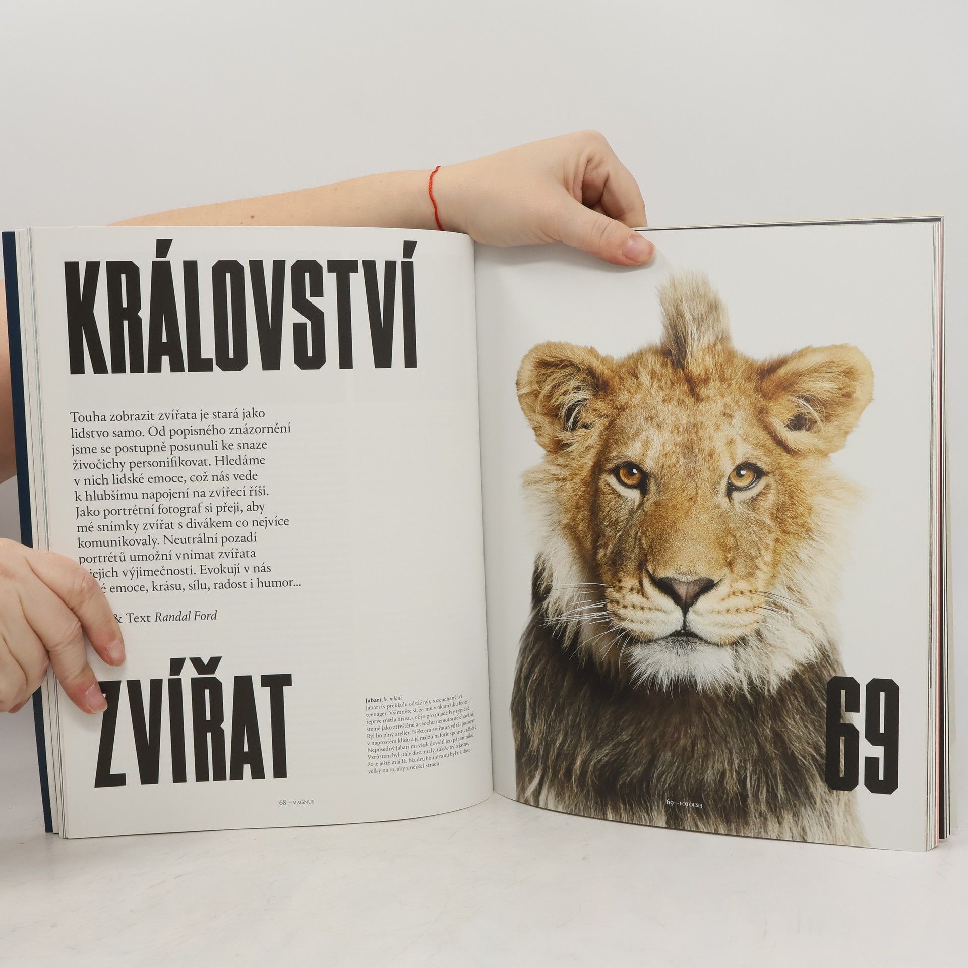 AA.VV. Magnus - magazín pro přátele a pre priateľov J&T Banky #16
