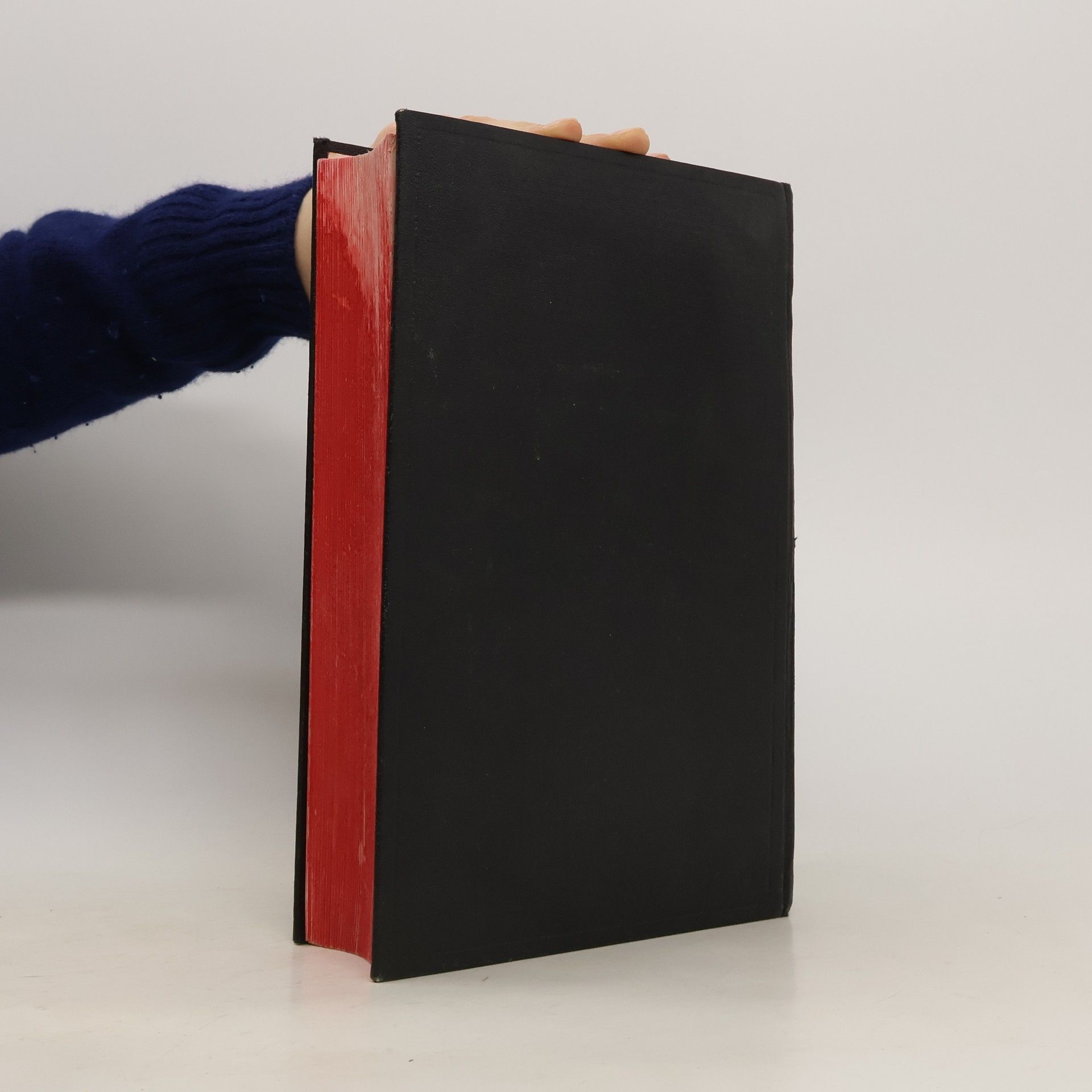 Autorenkollektiv Jubiläums Bibel