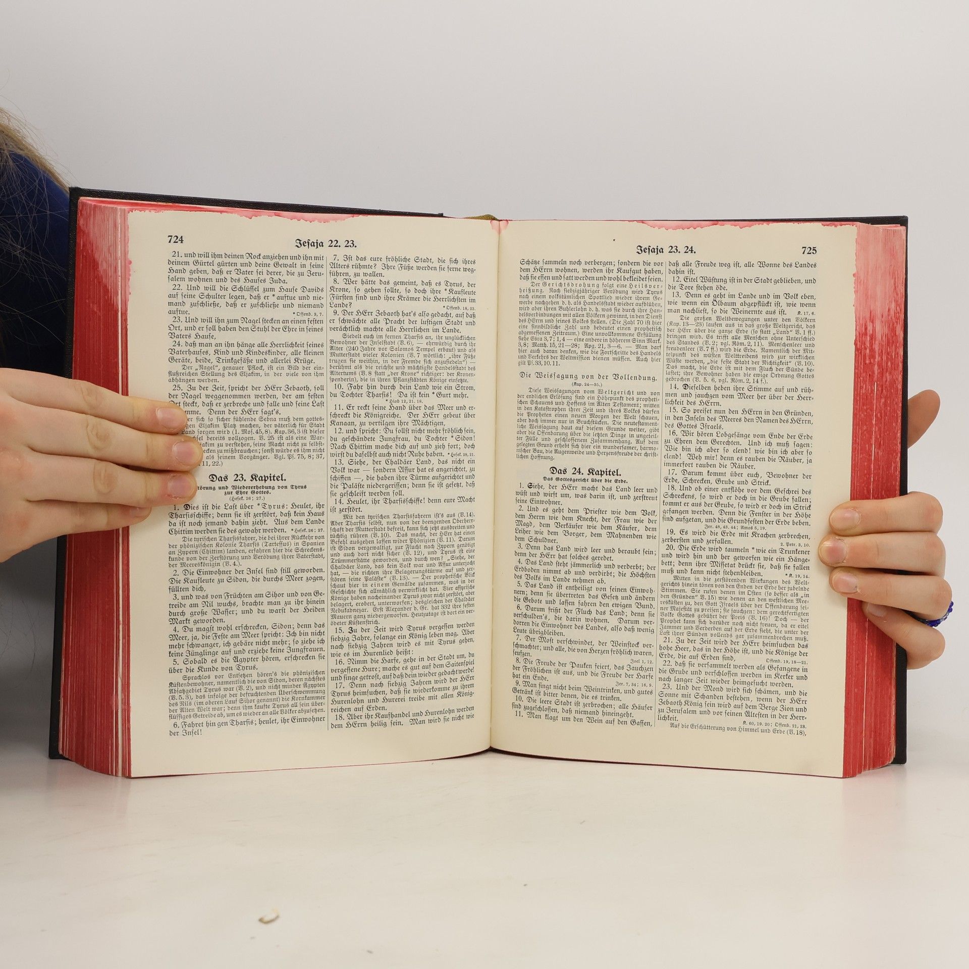 Autorenkollektiv Jubiläums Bibel