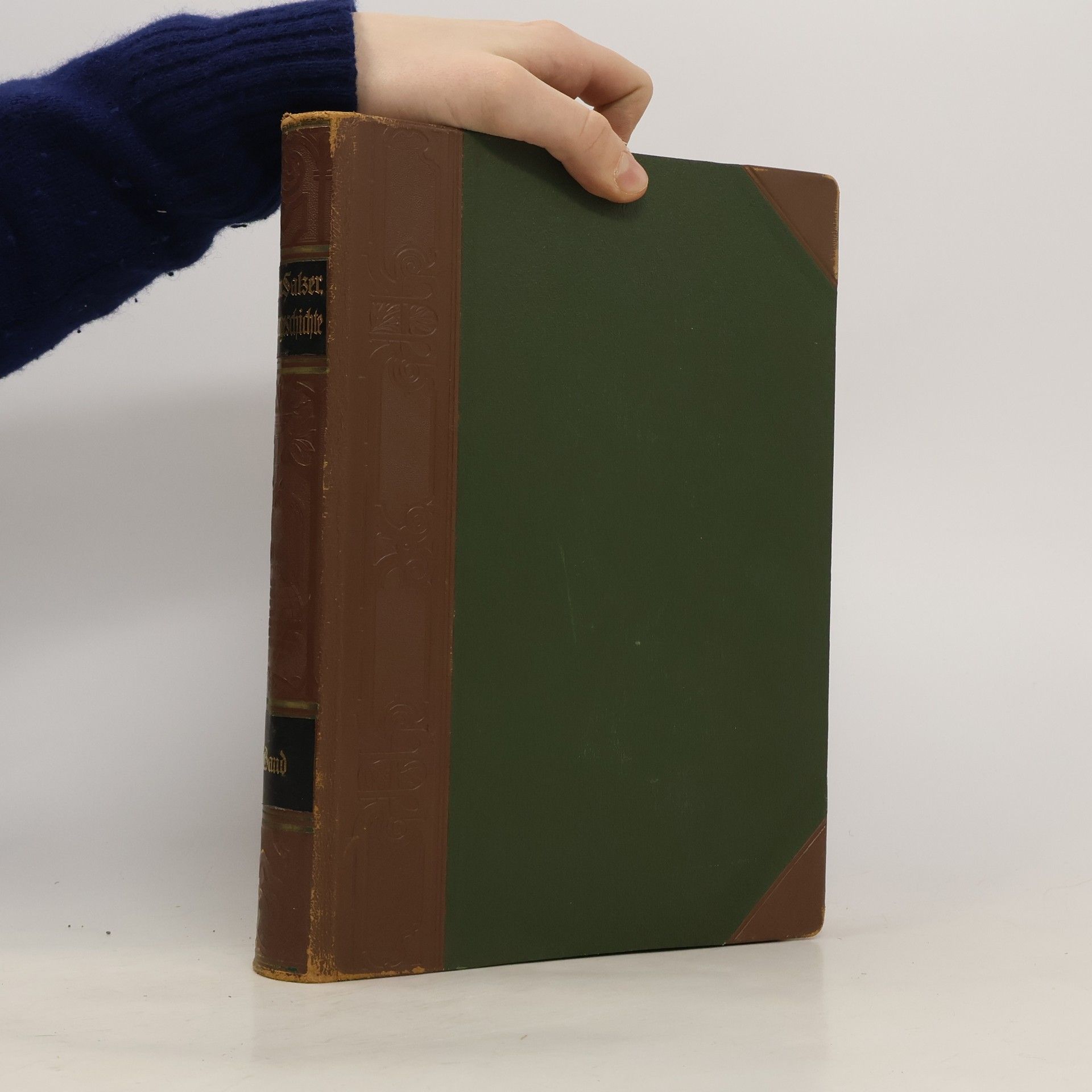 Professor Dr. Anselm Salzer Illustrierte Geschichte Deutschen Literatur