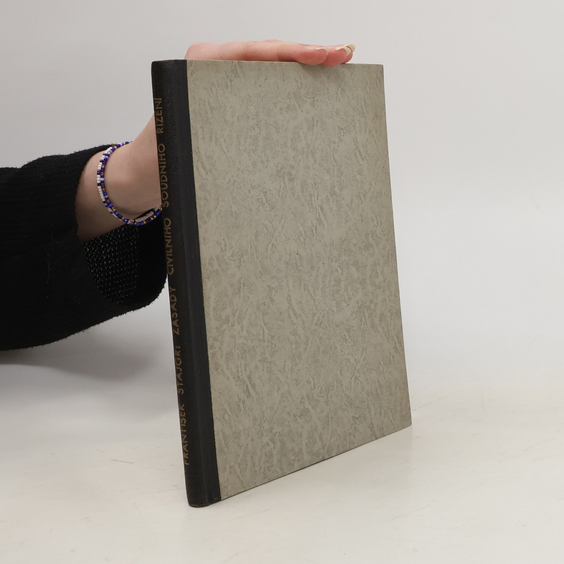 František Štajgr Zásady civilního soudního řízení