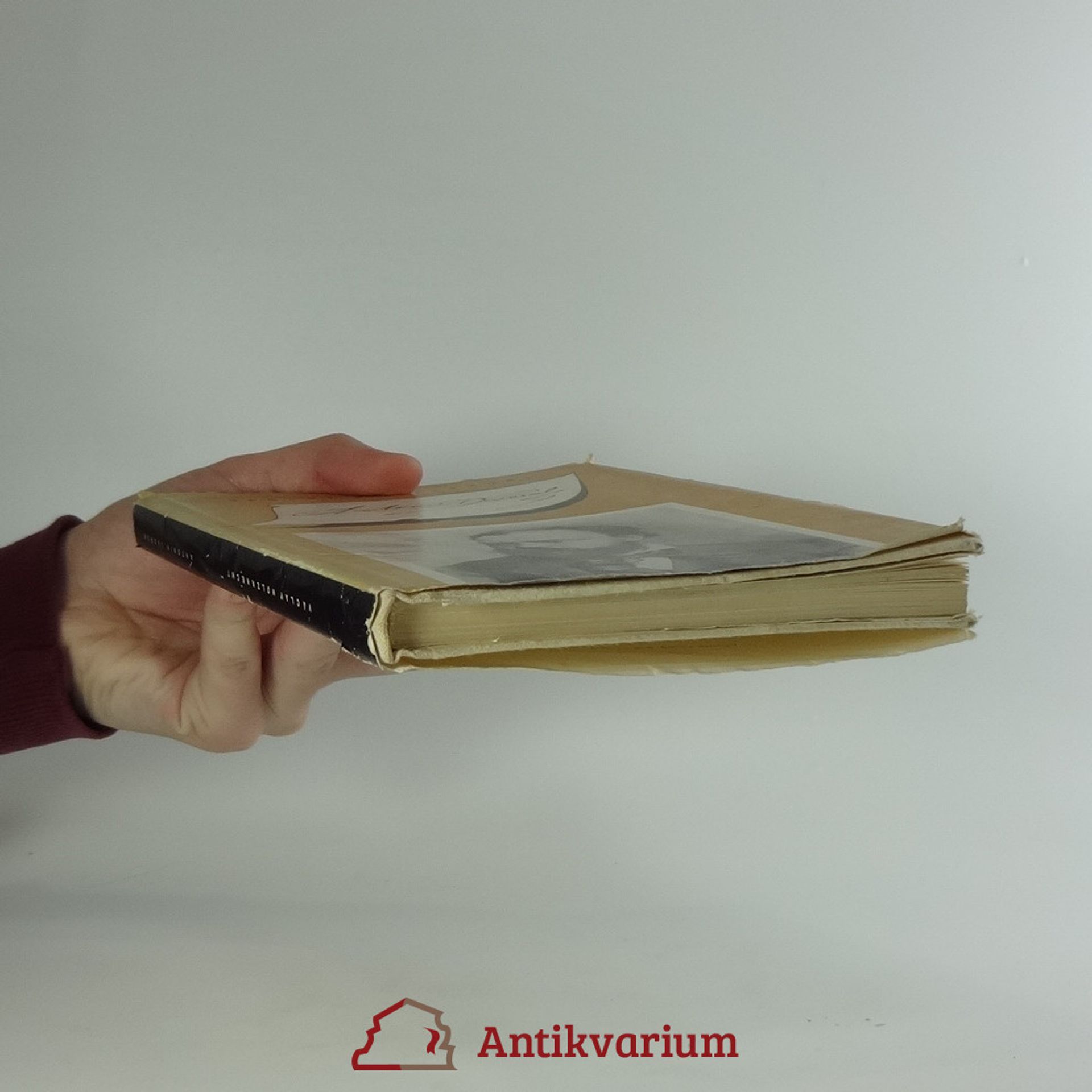 Collectif d'auteurs Antonín Dvořák
