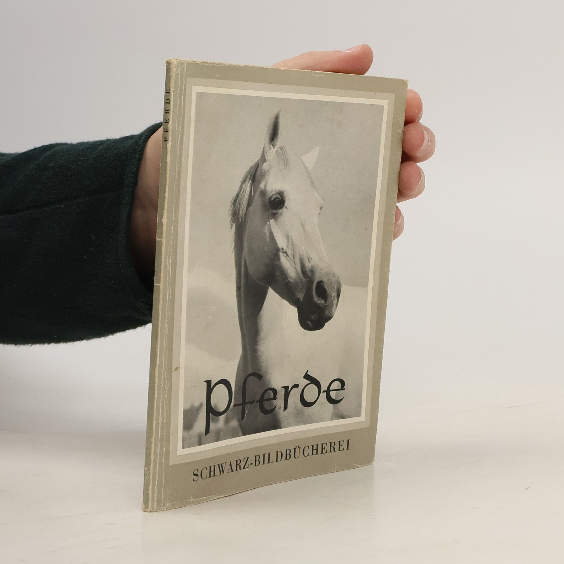 Autorenkollektiv Pferde