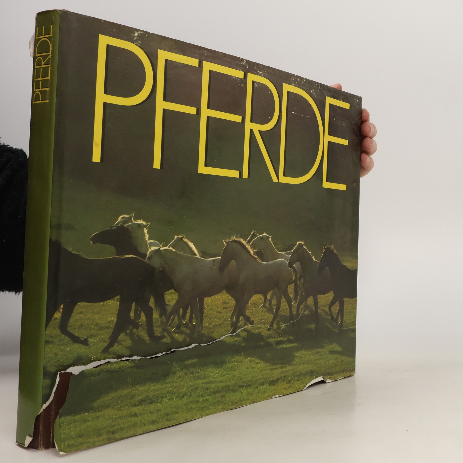 Autorenkollektiv Pferde