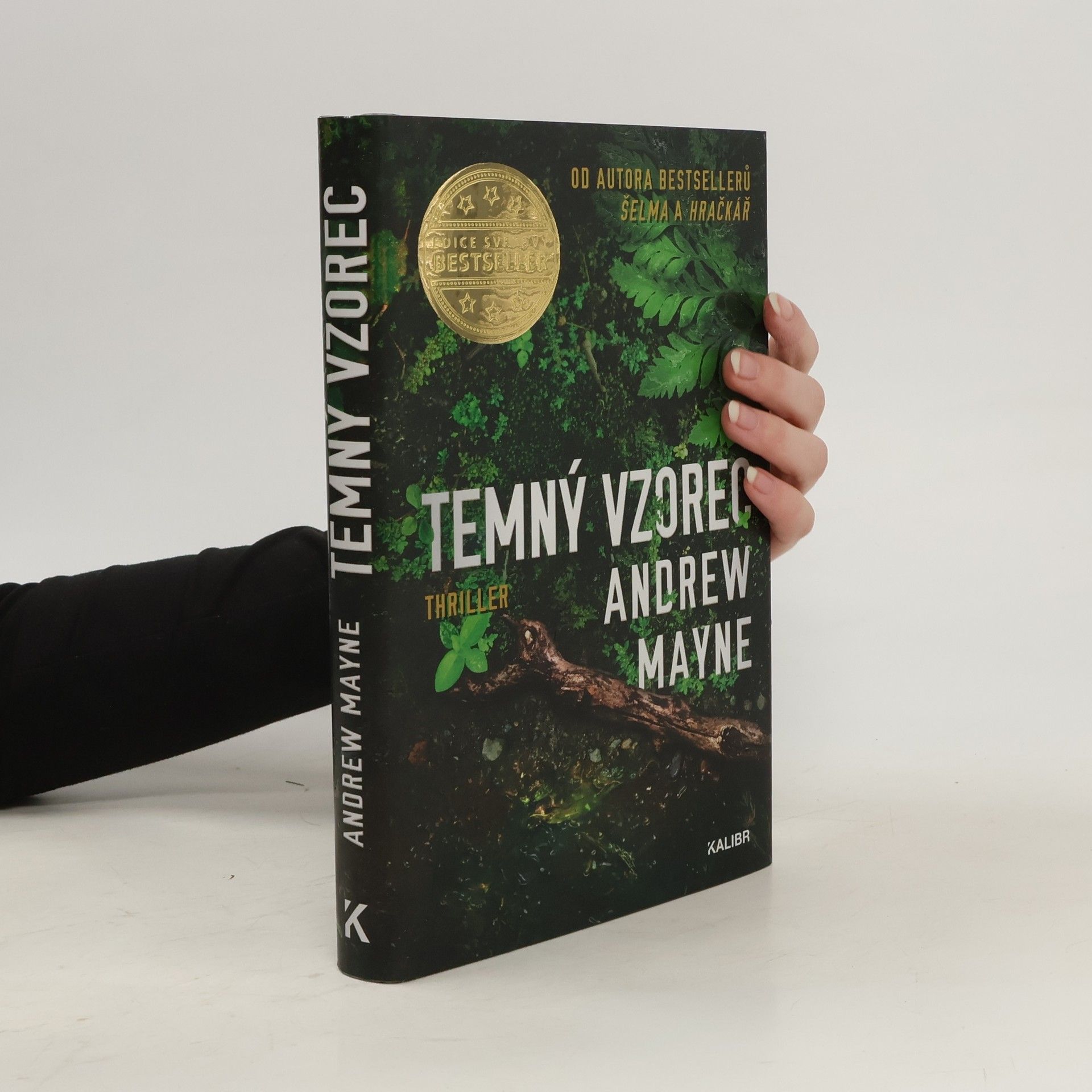 Andrew Mayne Temný vzorec