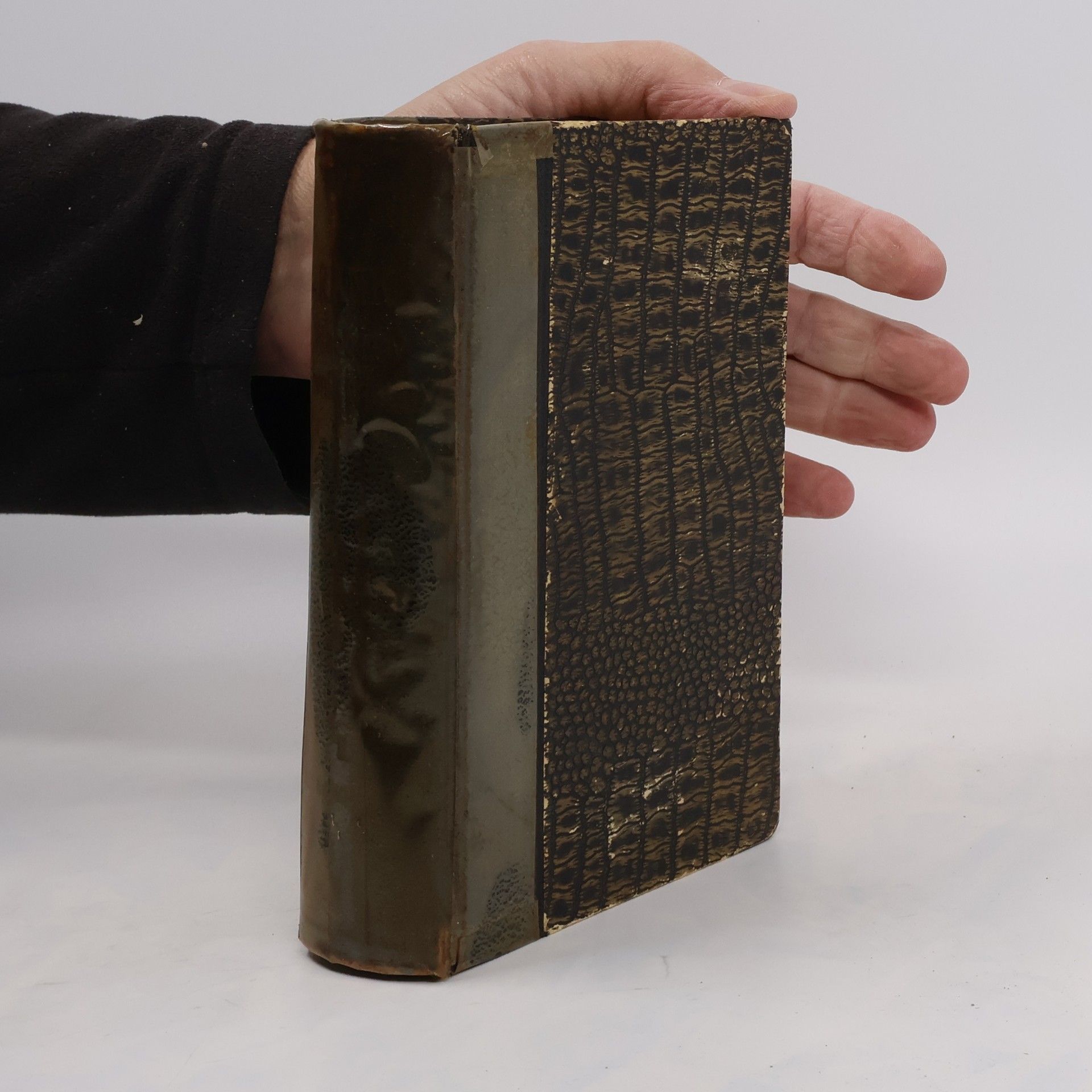 Všeobecný slovník příručný jazyka českého i německého II. Díl německo-český