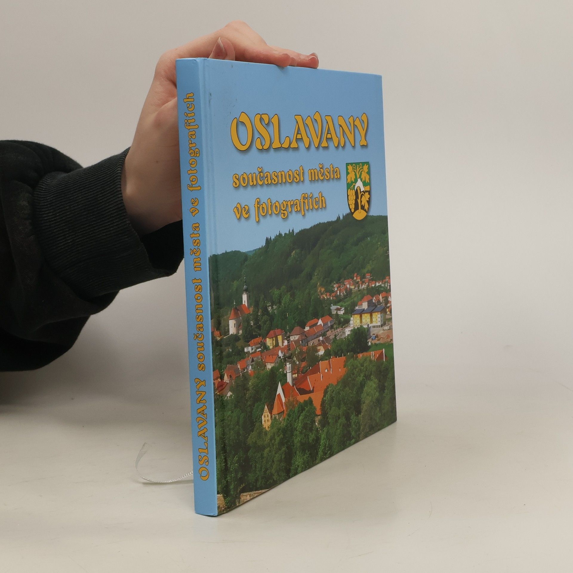 kolektiv Oslavany : současnost města ve fotografiích