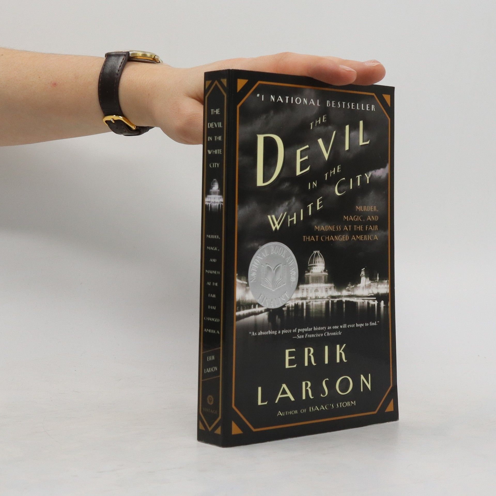 Erik Larson The devil in the White City : murder, magic, and madness at the fair that changed America