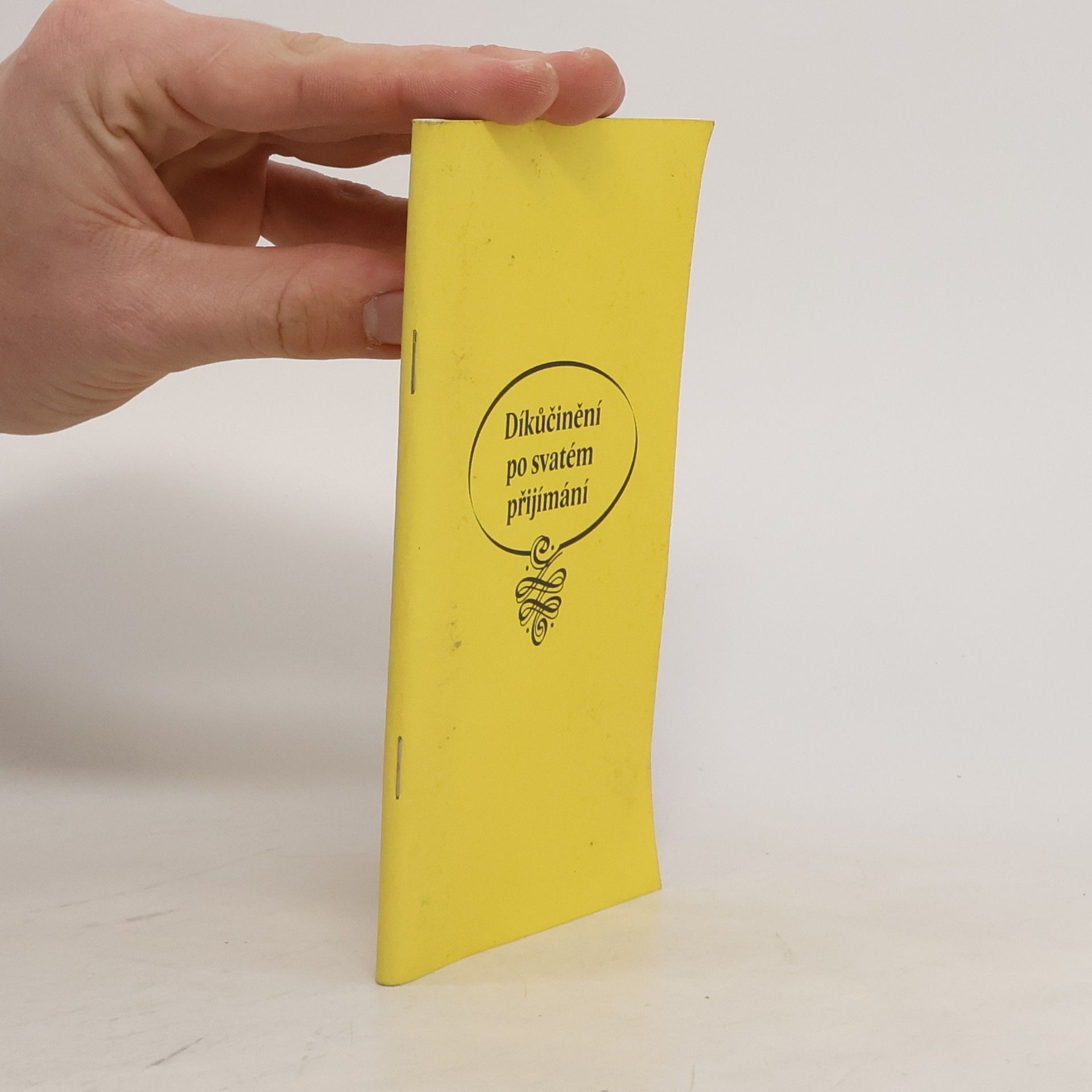 Kolektív autorov Díkůčinění po svatém příjímání