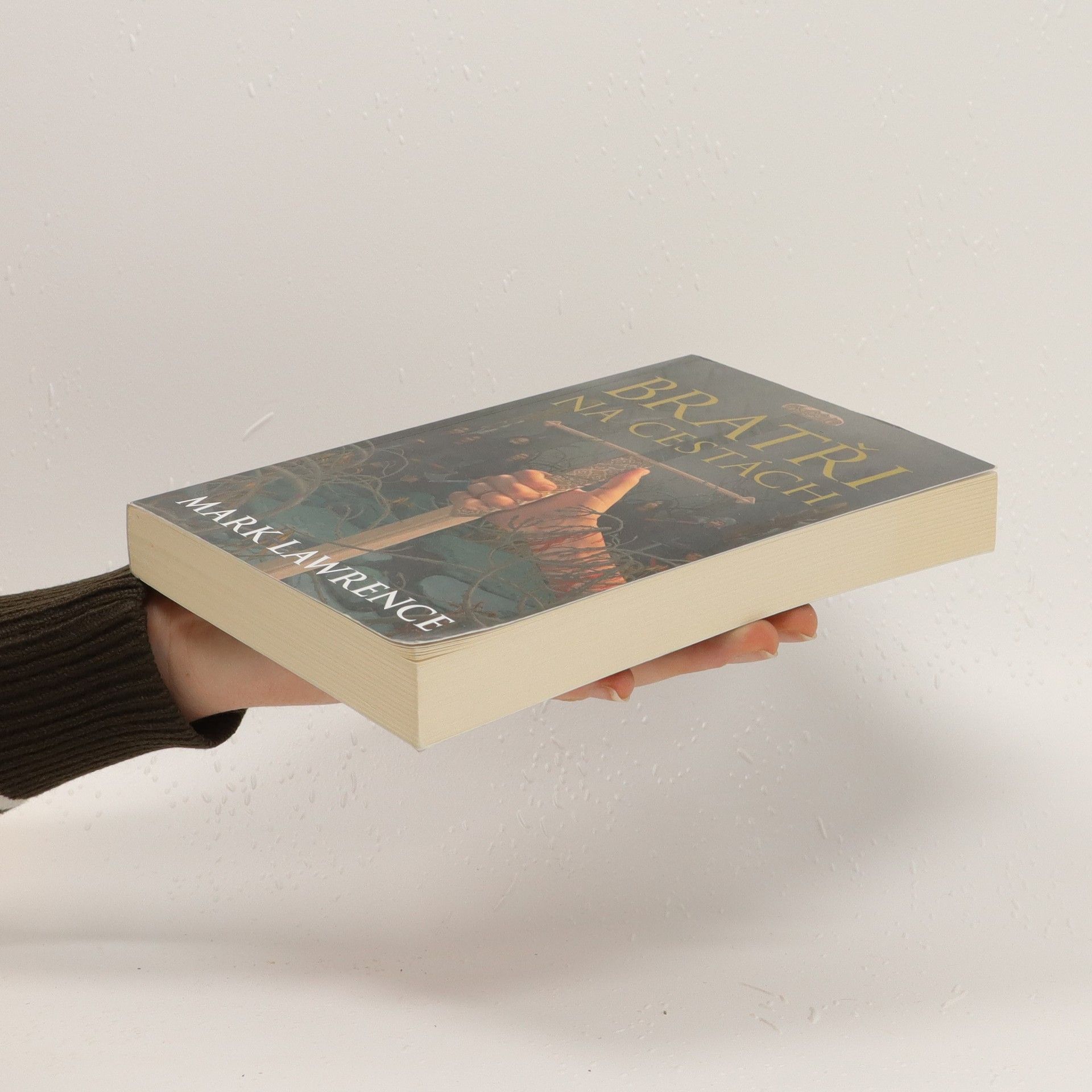 Mark Lawrence Bratři na cestách