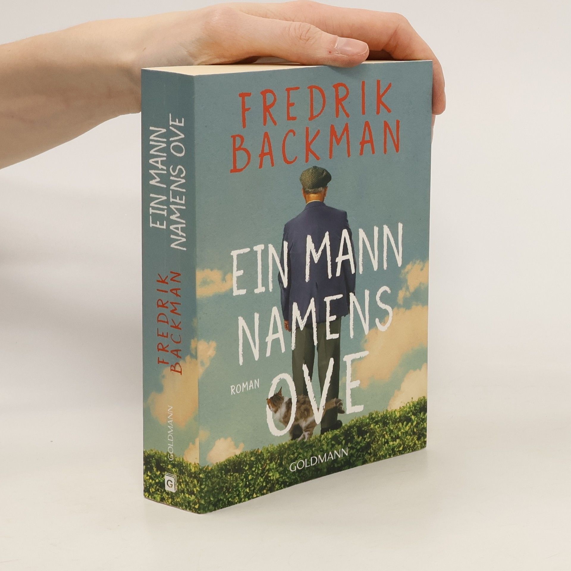 Fredrik Backman Ein Mann namens Ove