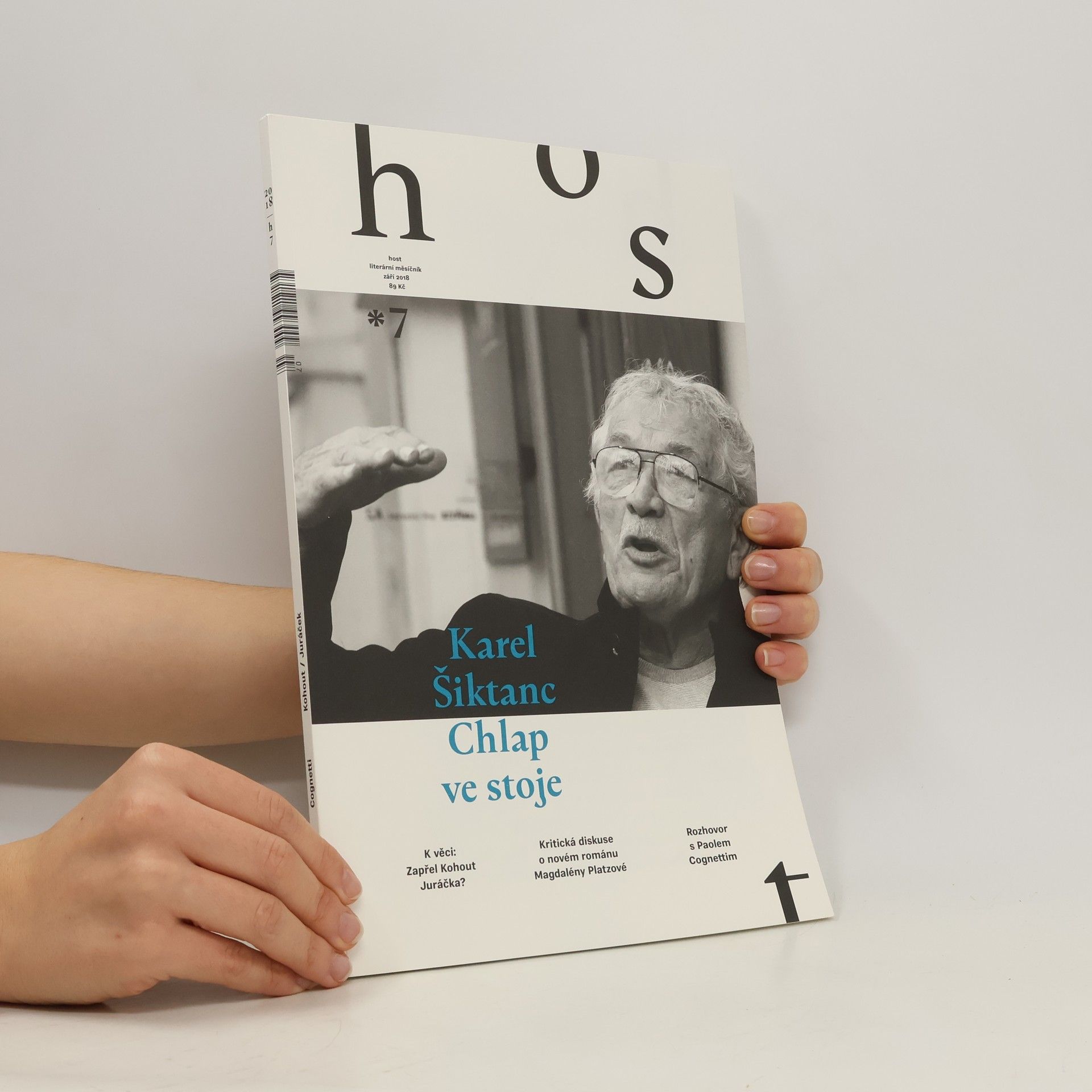 Autorenkollektiv Chlap ve stoje