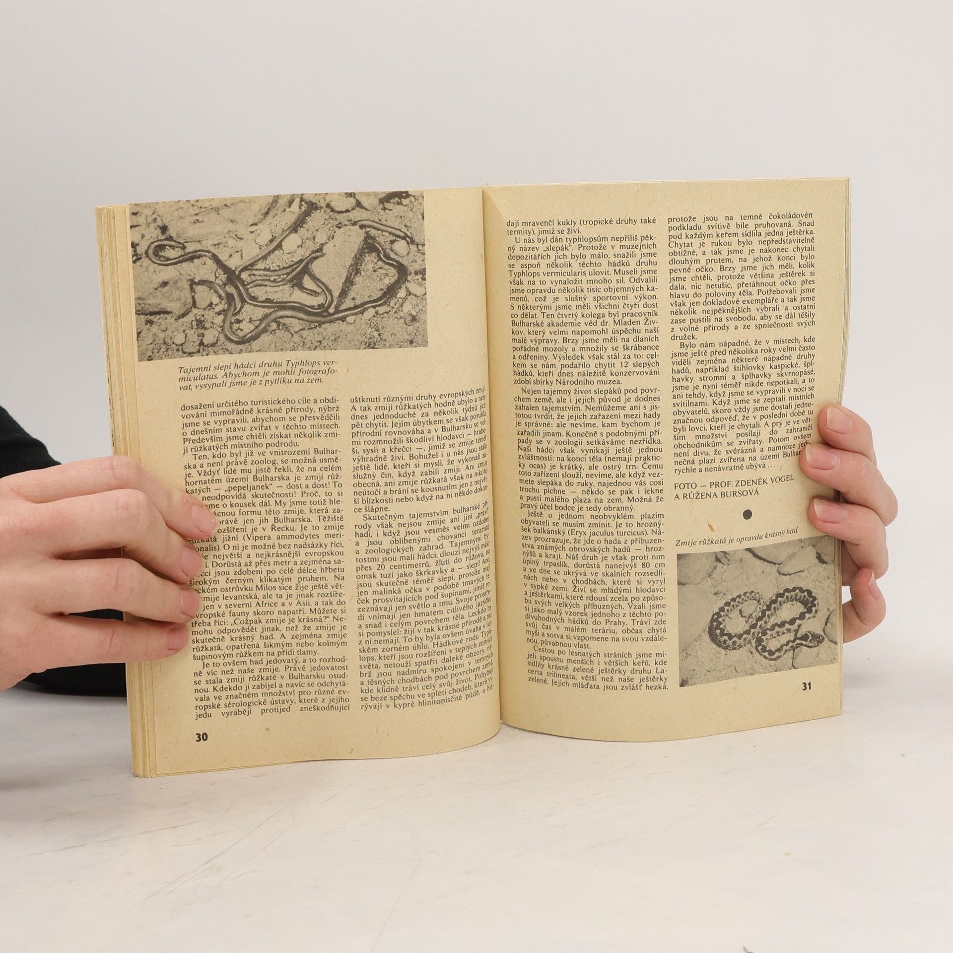 kolektiv Magazín, co vás zajímá 2/1975