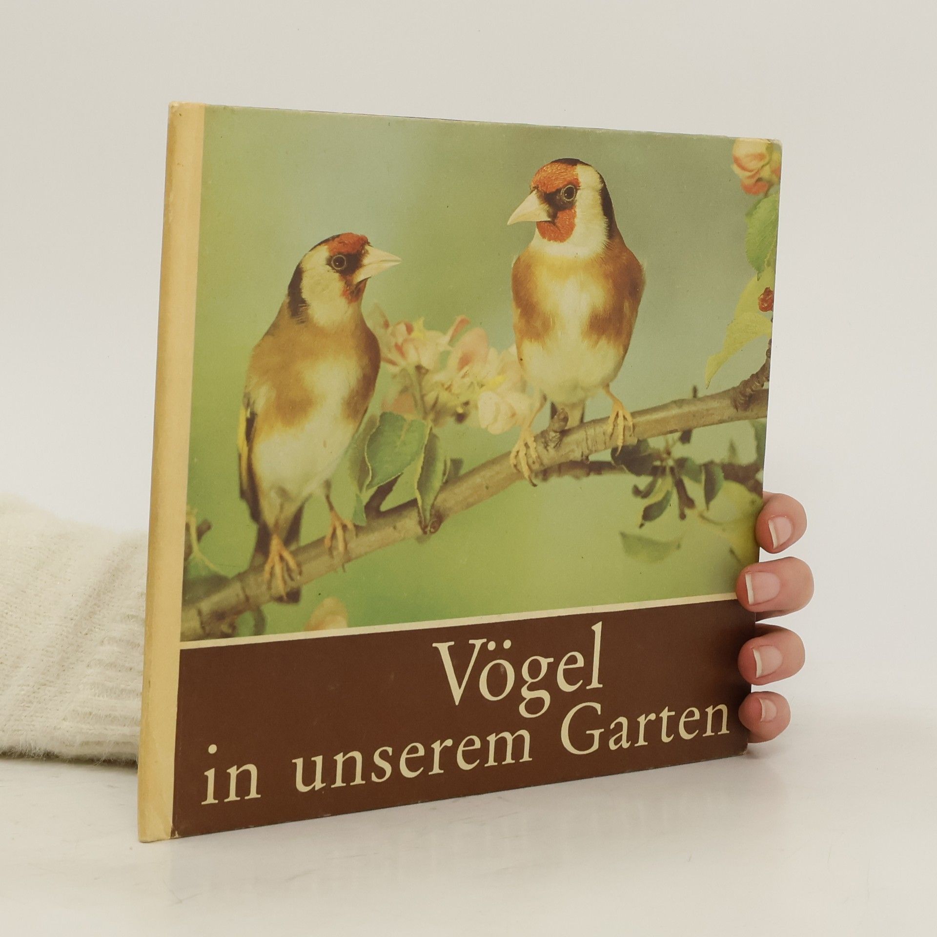 Helmut Massny Vögel in unserem Garten