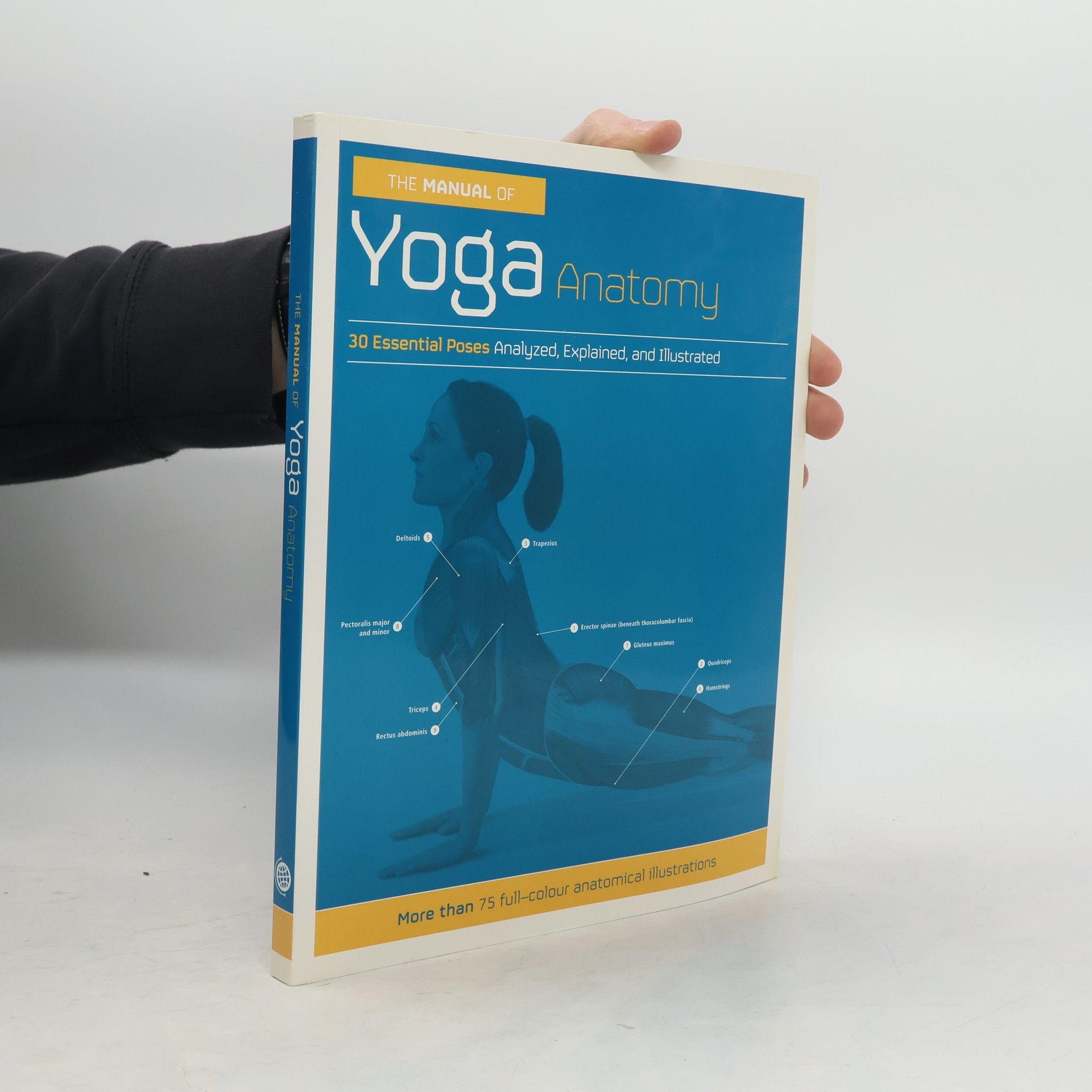 Collectif d'auteurs The Manual of Yoga Anatomy