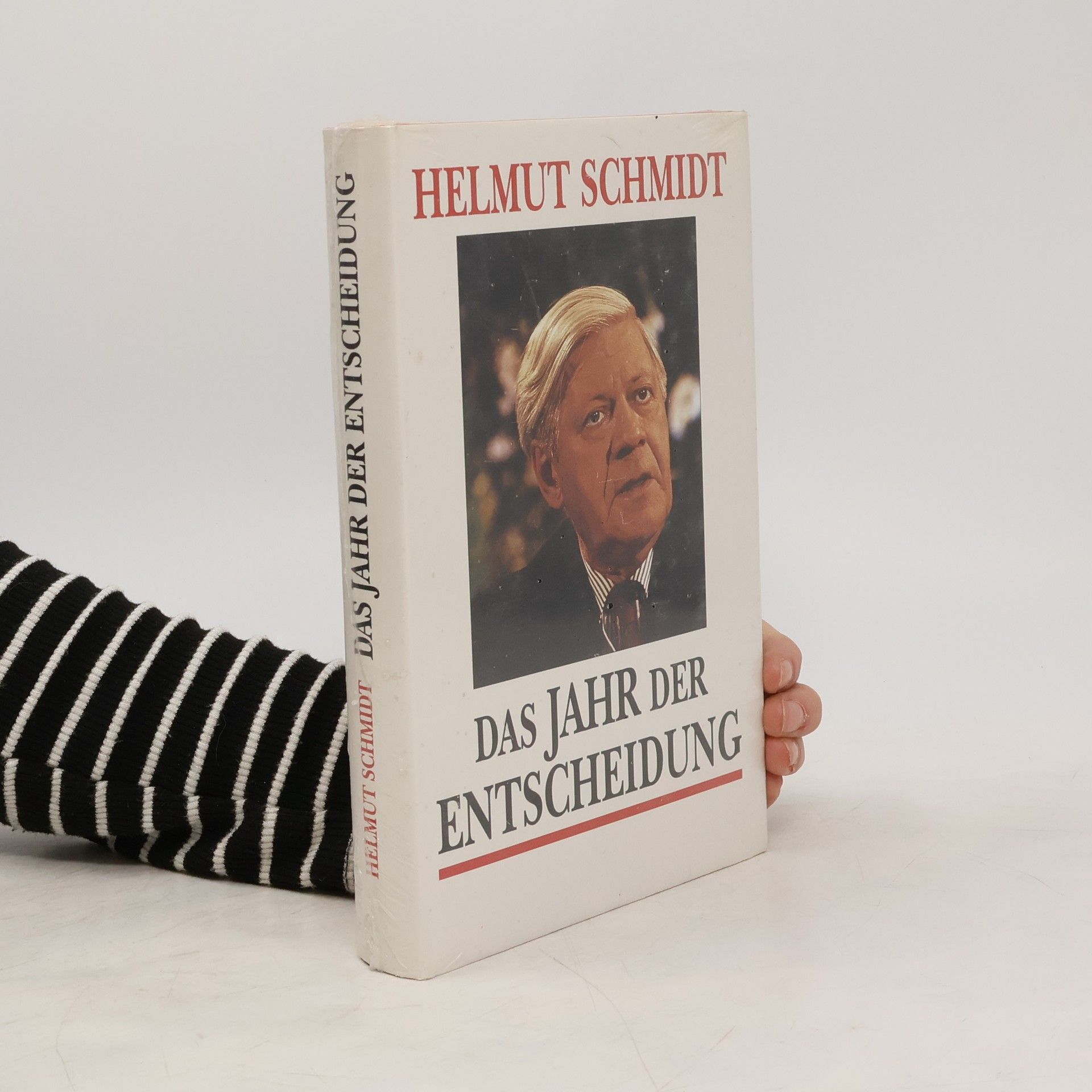 Helmuth Schmidt Das Jahr der Entscheidung