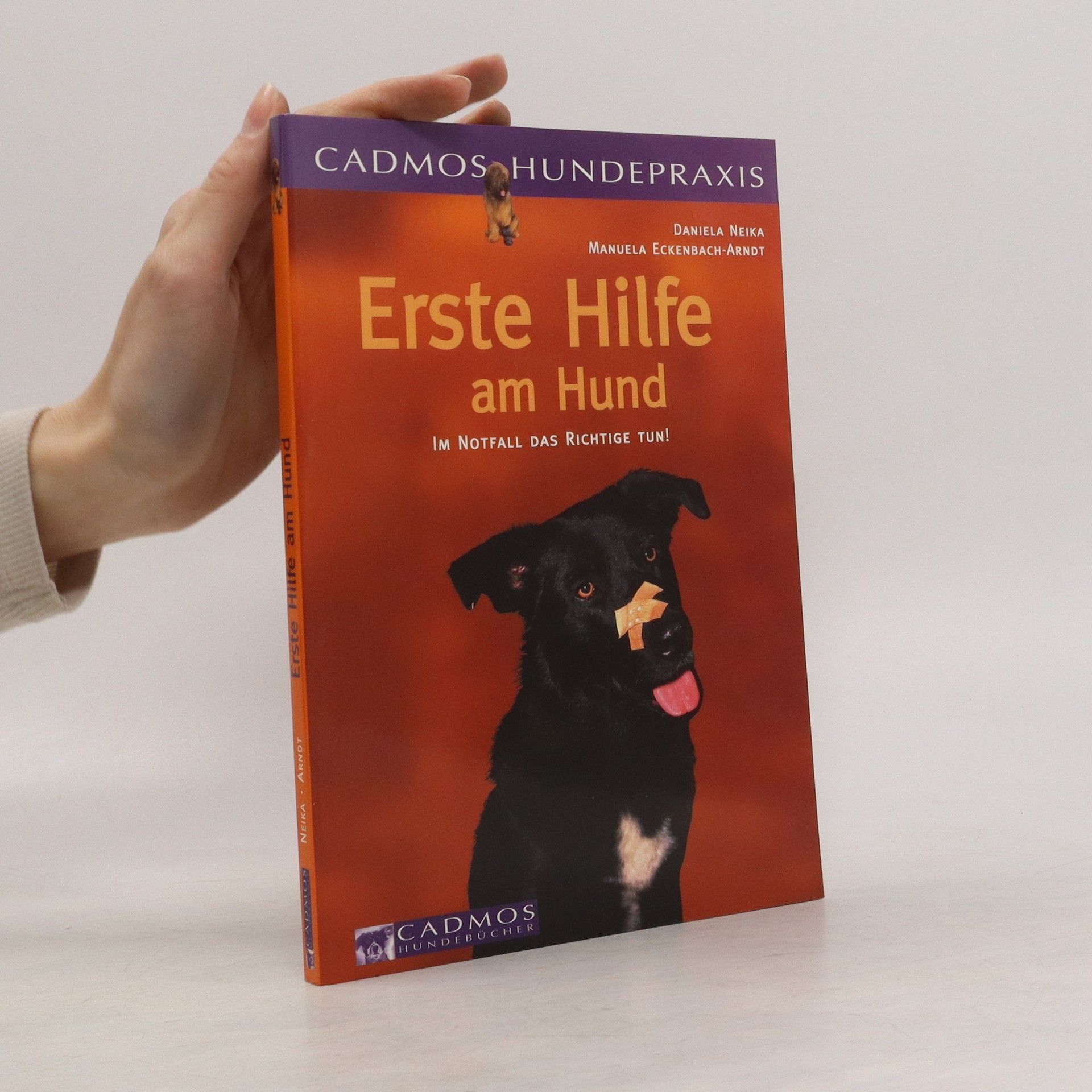 Autores varios Erste Hilfe am Hund