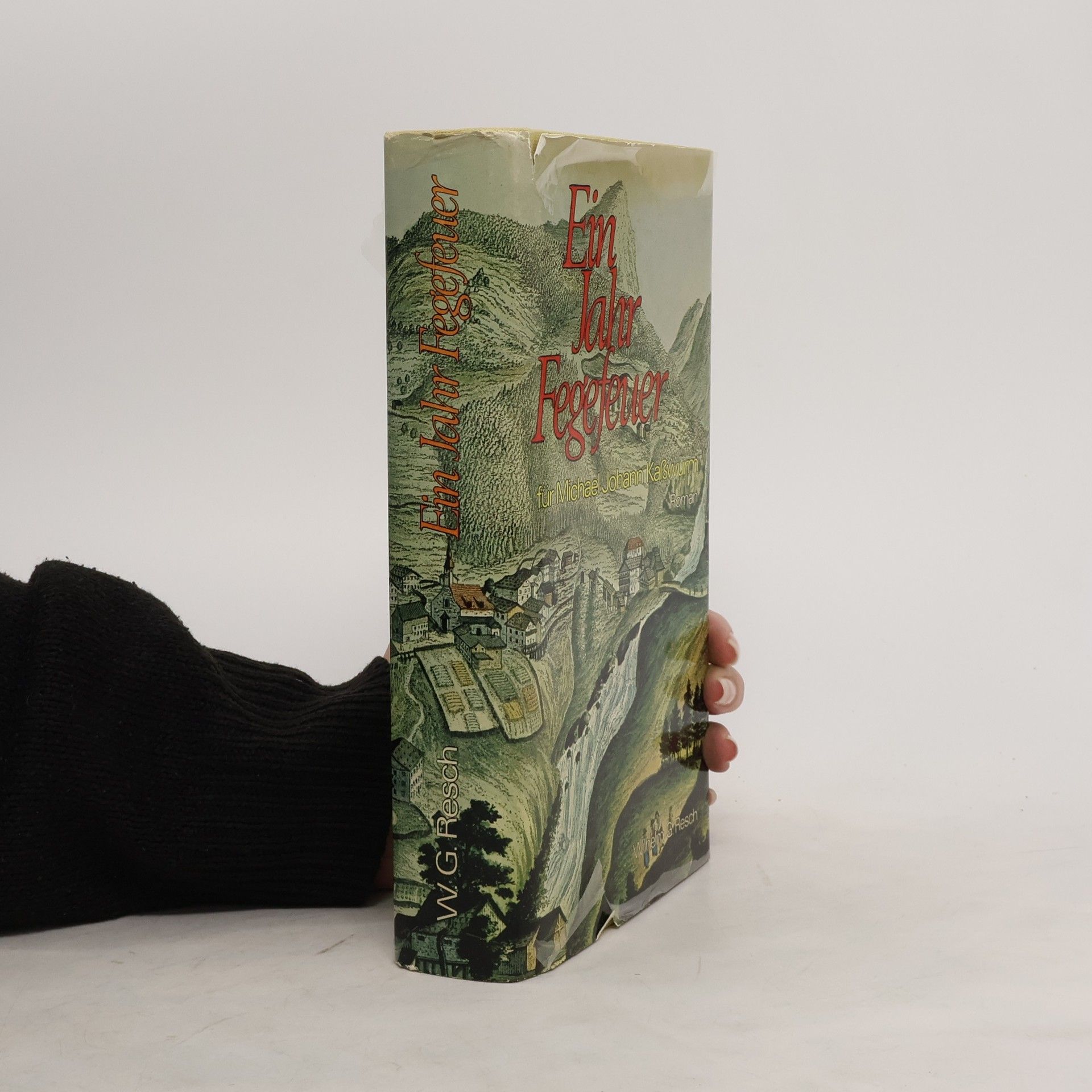 Wilhelm Georg Resch Ein Jahr Fegefeuer