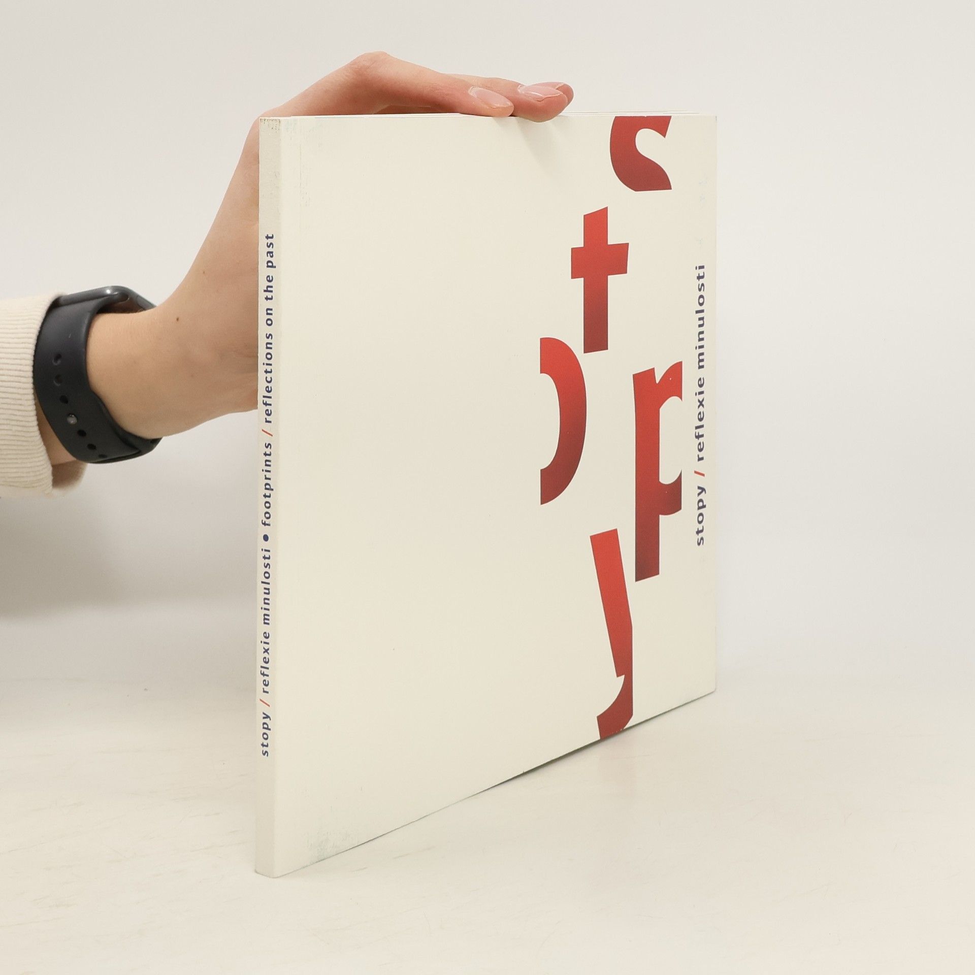 Autorenkollektiv Stopy. Reflexie minulosti