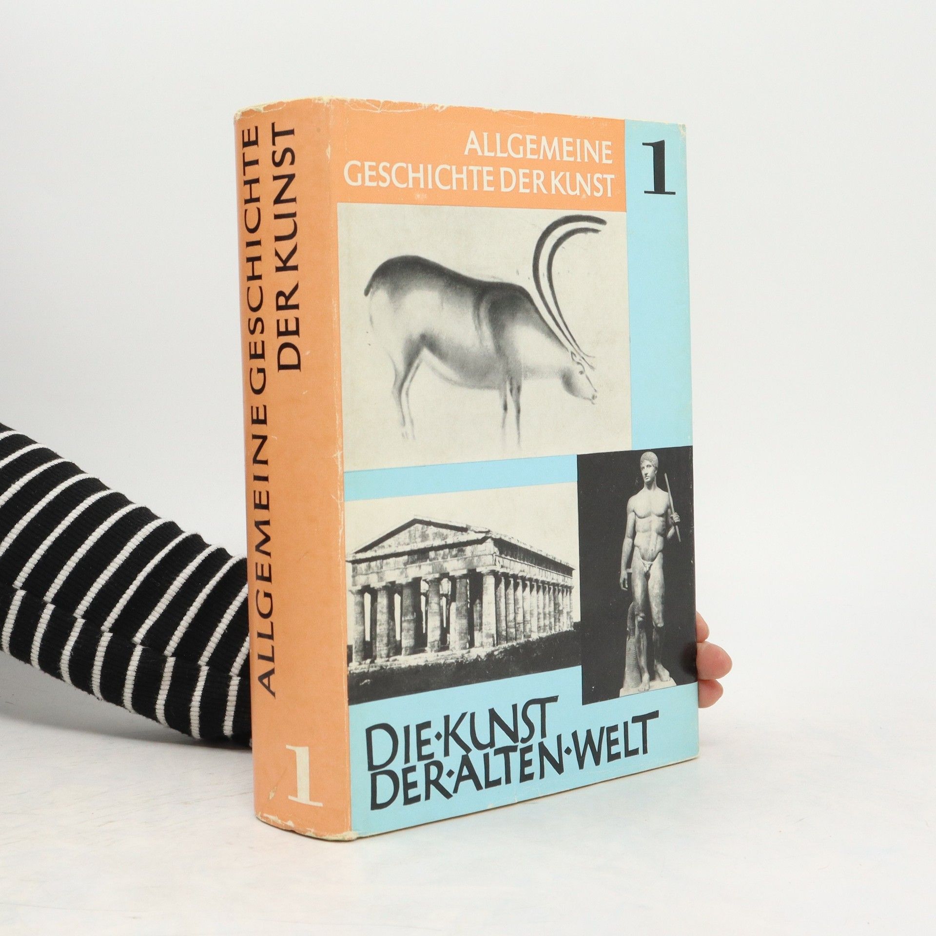 Kolektív autorov Allgemeine Geschichte der Kunst 1