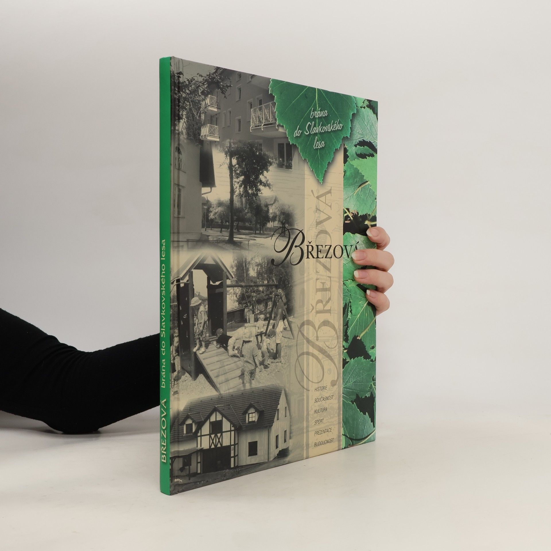 Auteurscollectief Březová. Brána do Slavkovského lesa