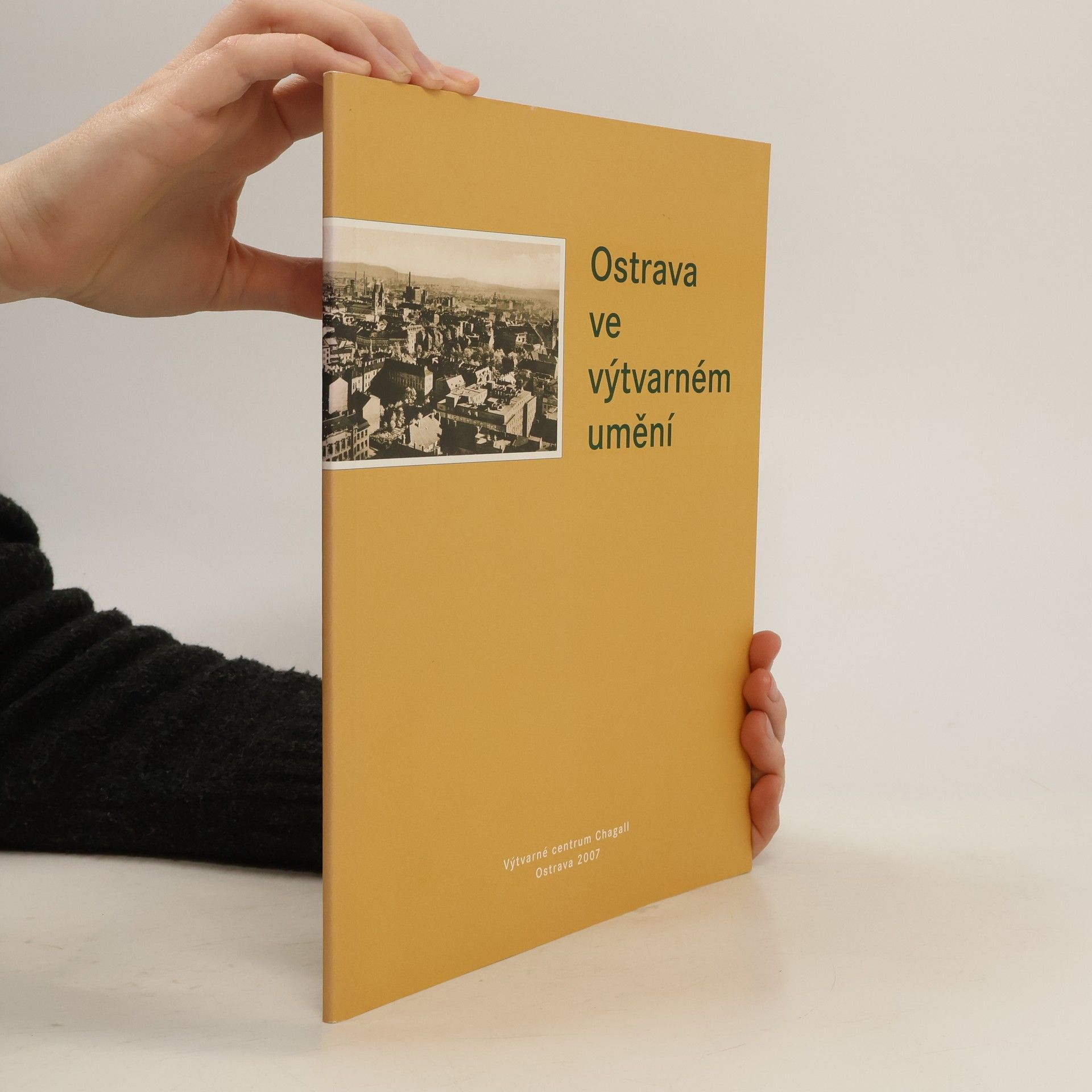AA.VV. Ostrava ve výtvarném umění