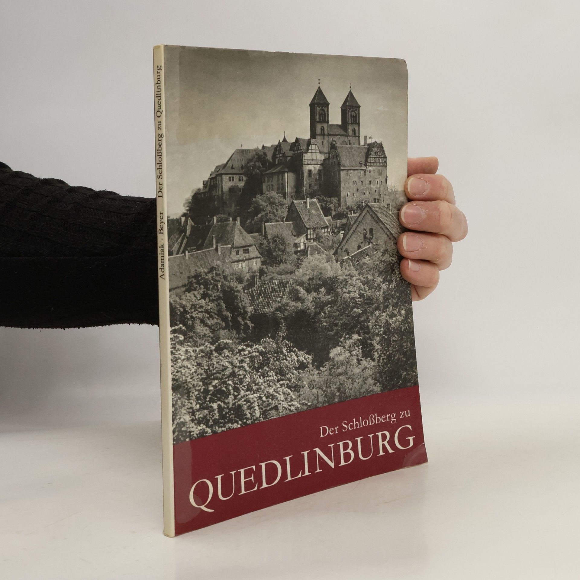 Adamiak Beyer Der Schloßberg zu Quedlinburg