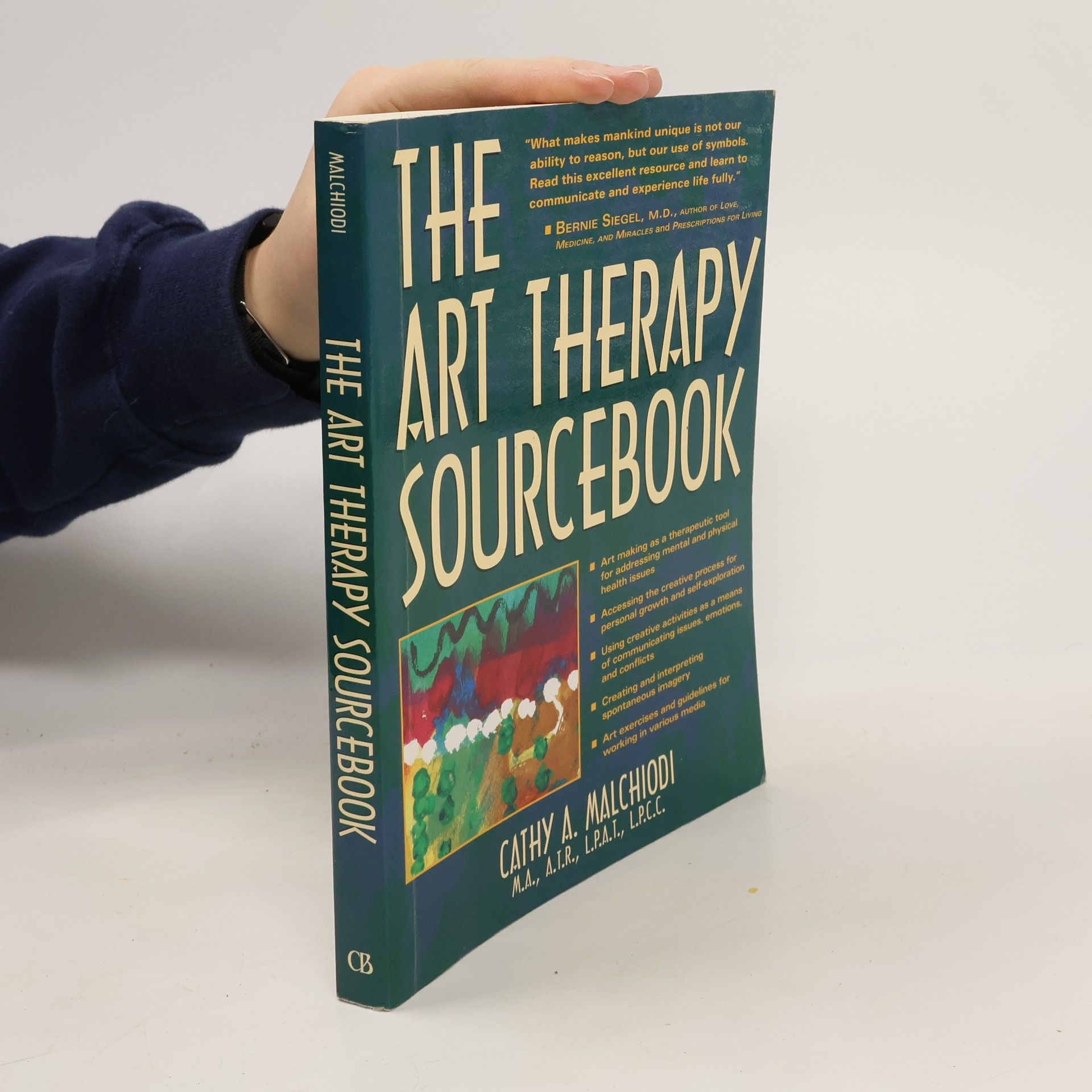 Kolektiv autorů The Art Therapy Sourcebook