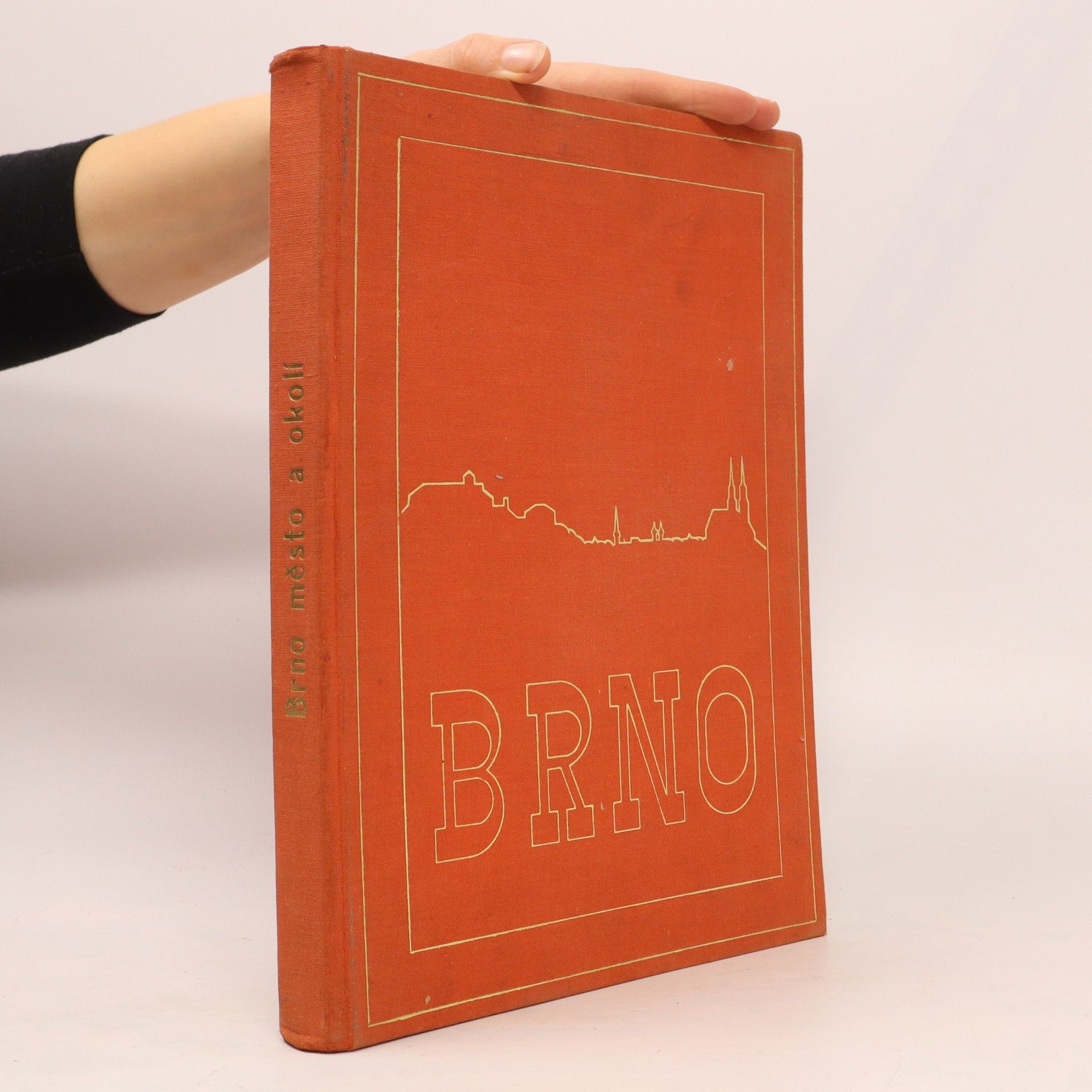 Kolektiv autorů Brno. město a okolí