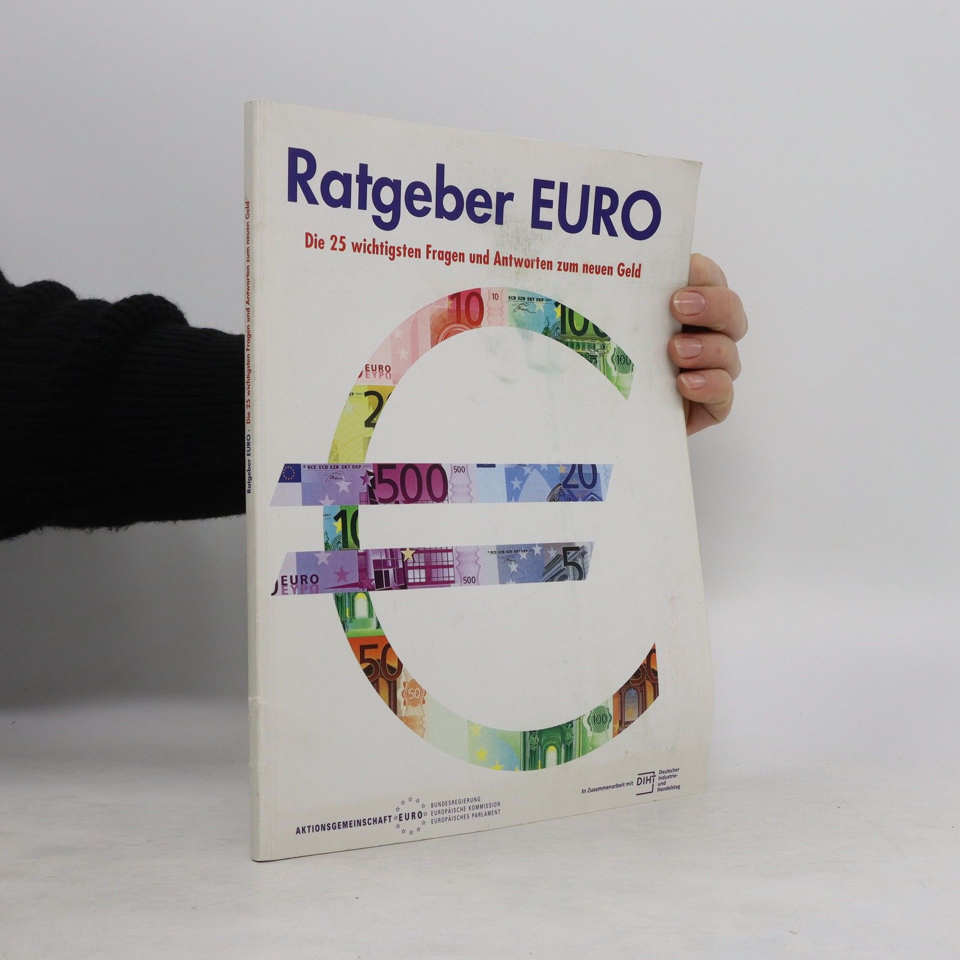 Autorenkollektiv Ratgeber Euro