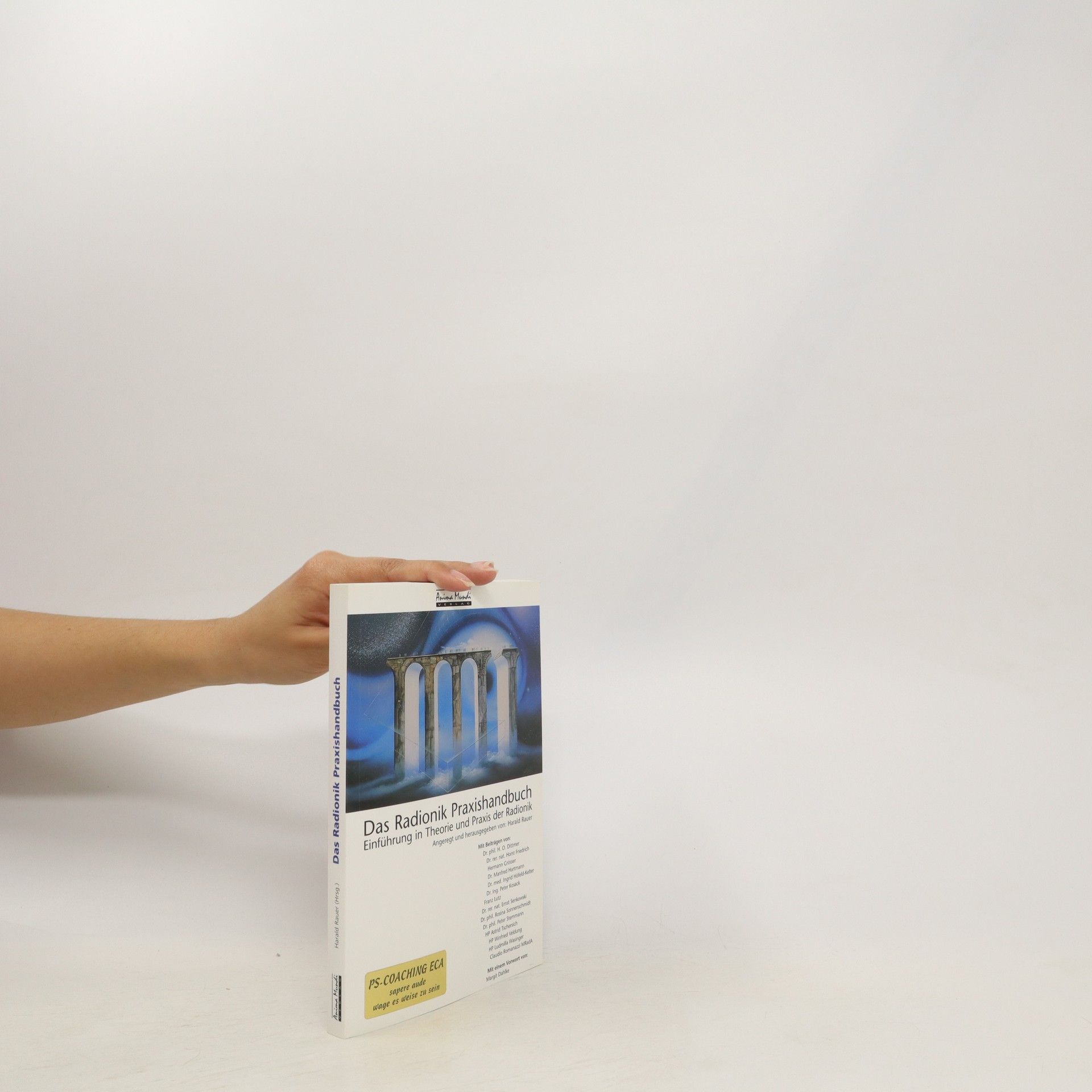 Harald Rauer Das Radionik-Praxishandbuch