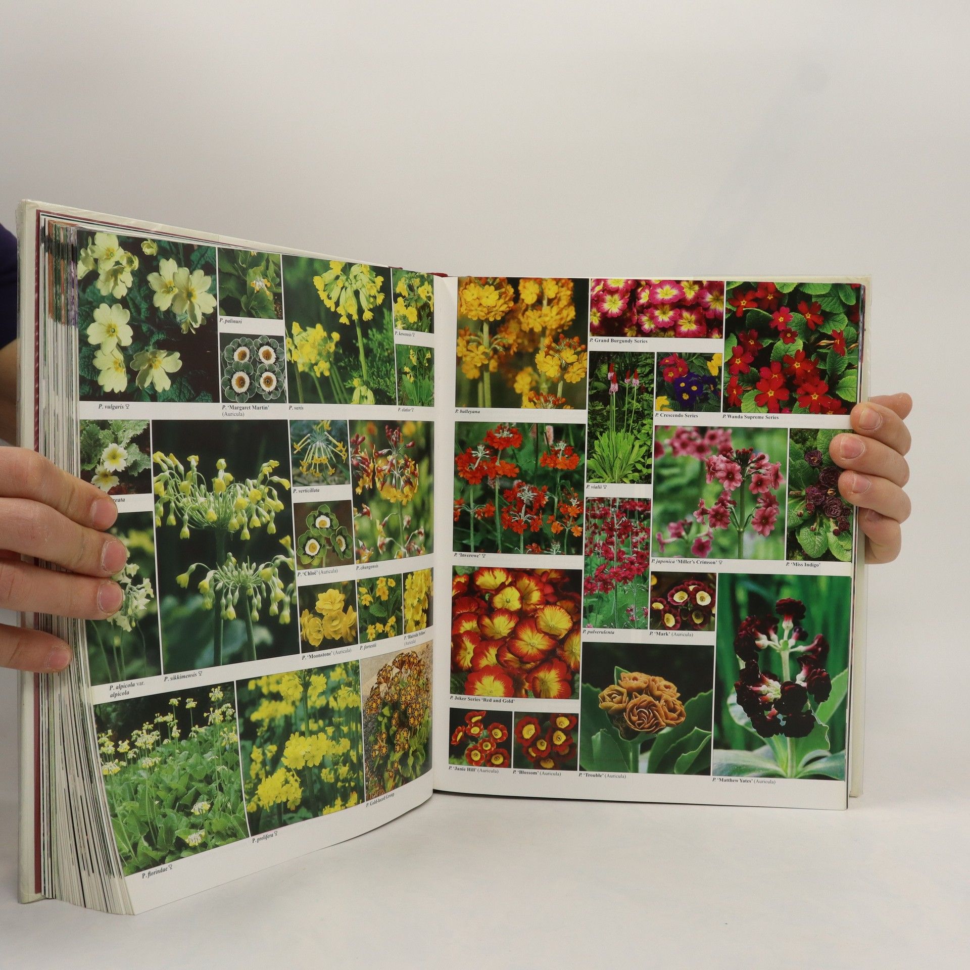 Christopher David Brickell Encyclopedia of Plants and Flowers