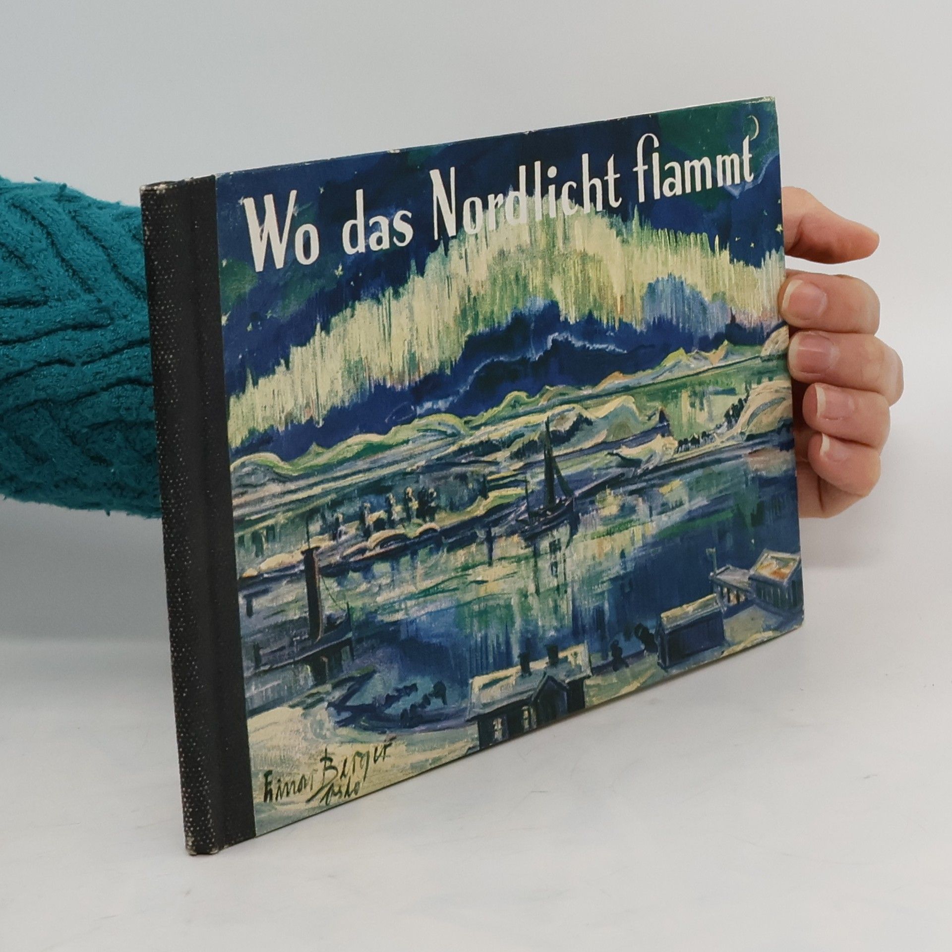 Thomas Segelcke Thrap Wo das Nordlicht Flammt
