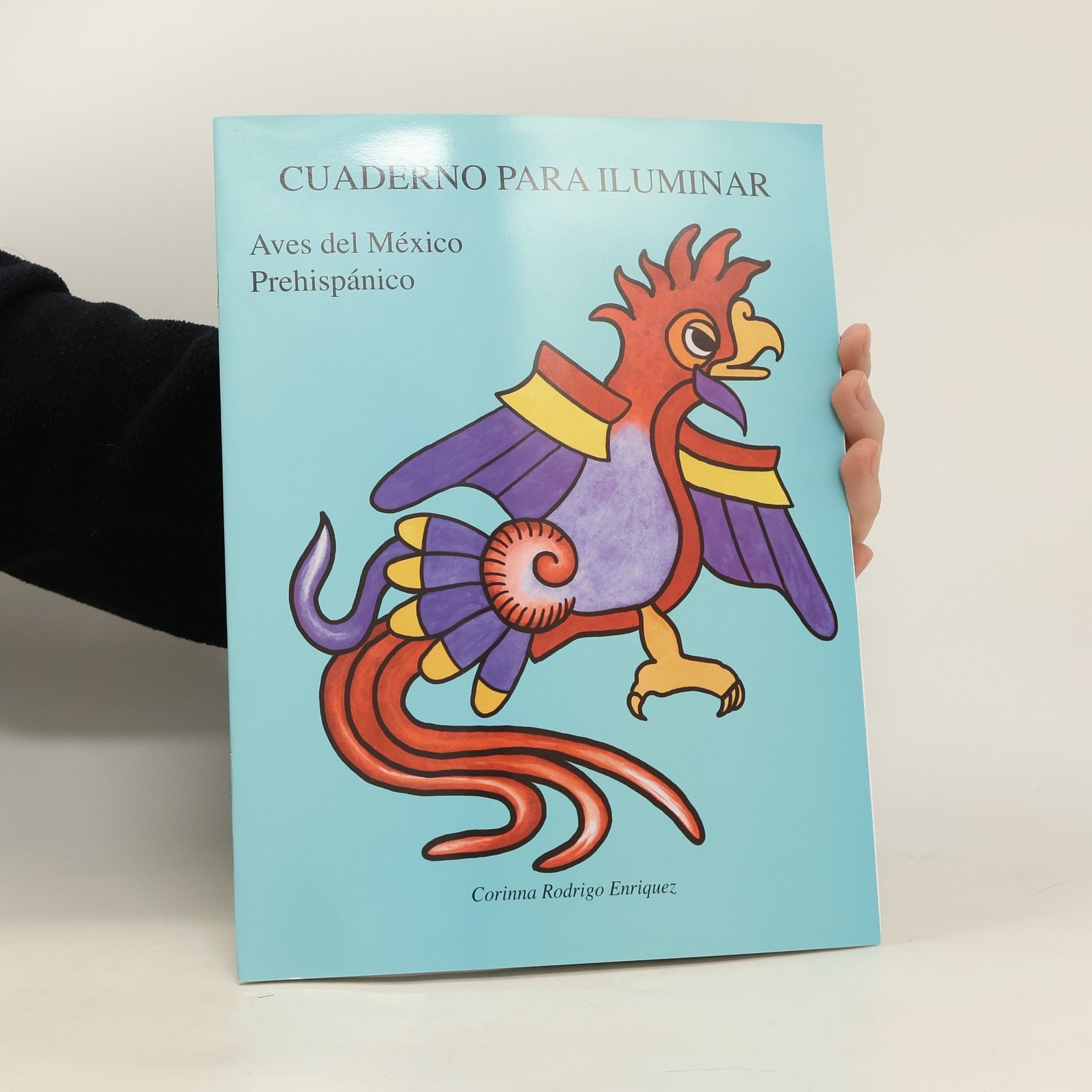 Corinna Rodrigo Enriquez Cuaderno para iluminar