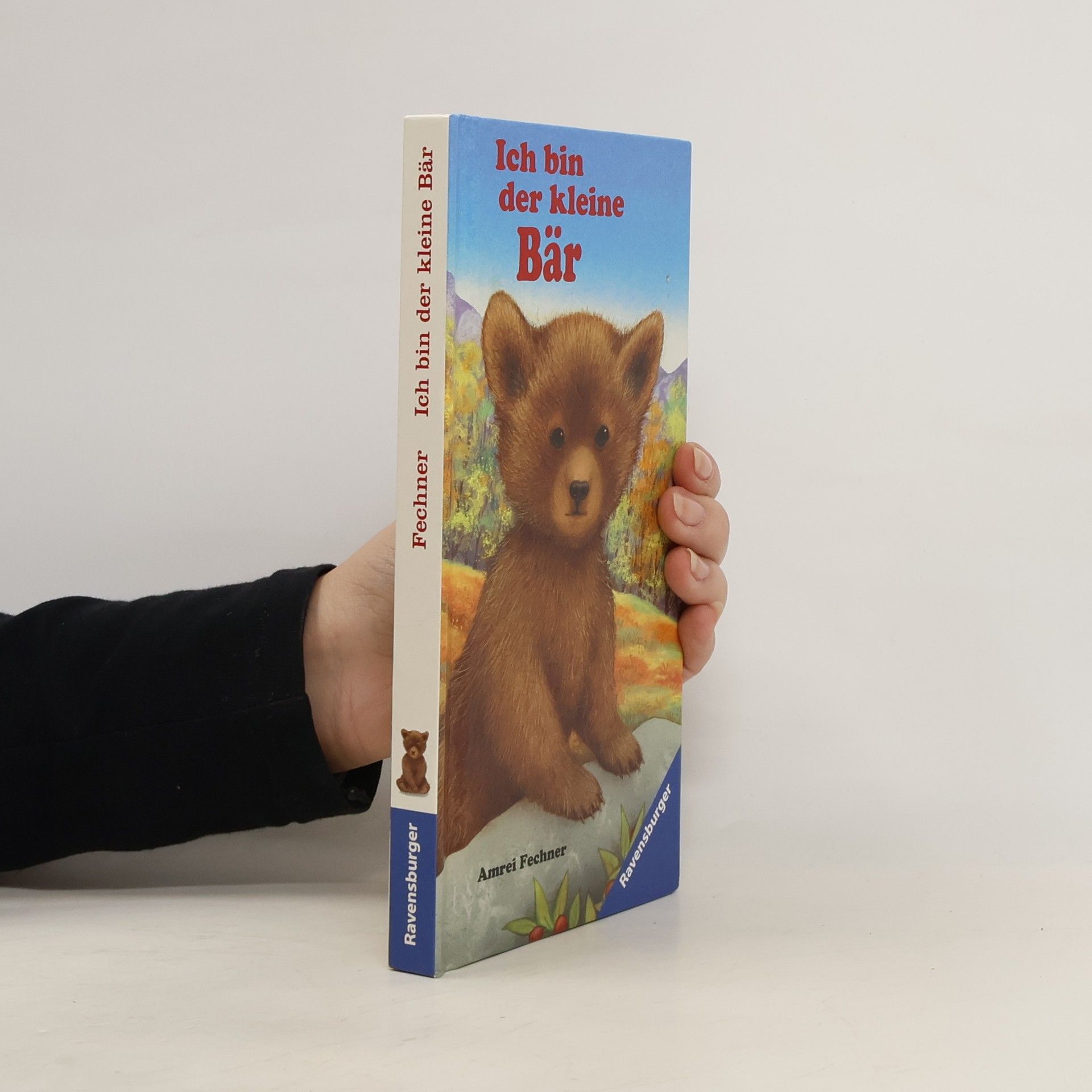 Amrei Fechner Ich bin der kleine Bär