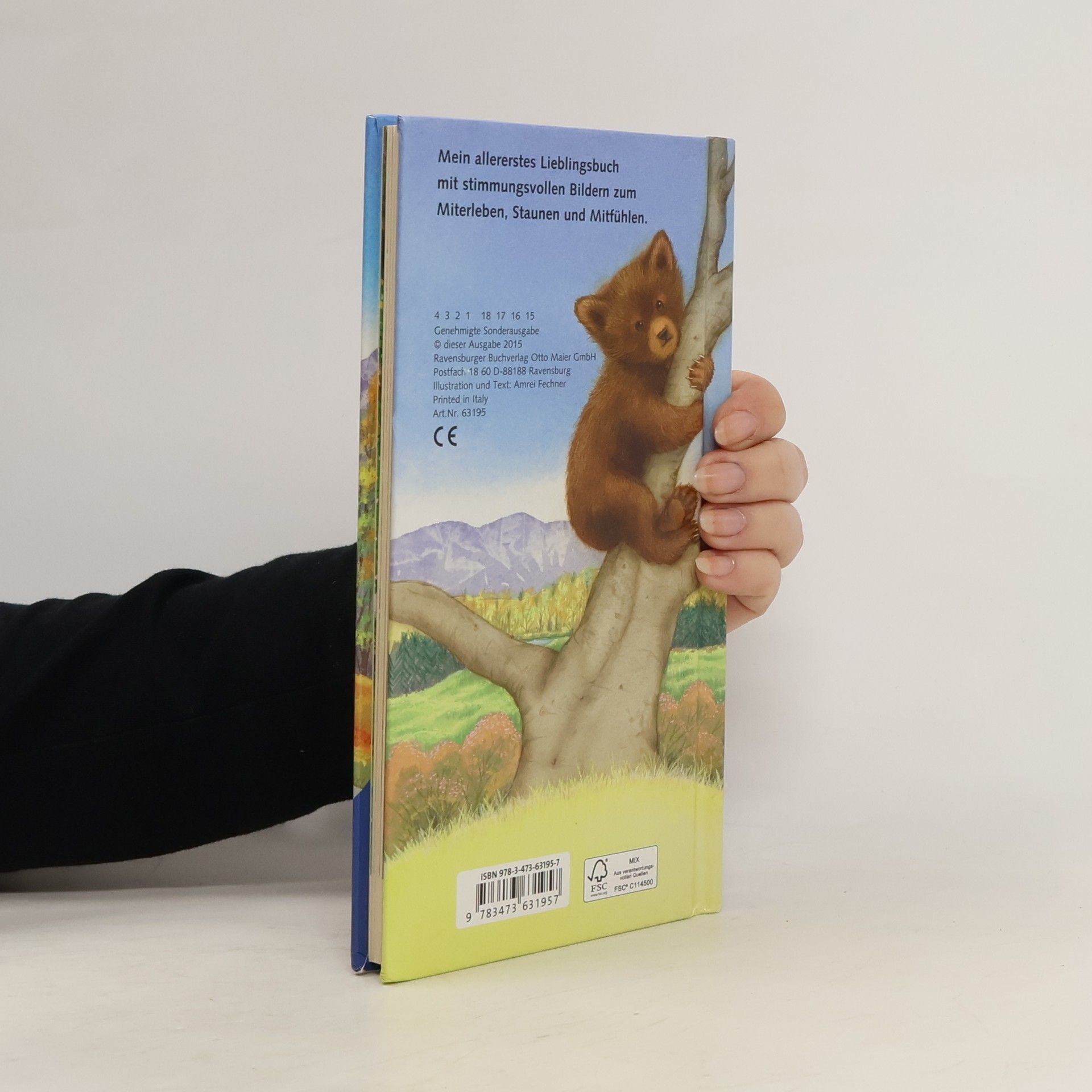 Amrei Fechner Ich bin der kleine Bär