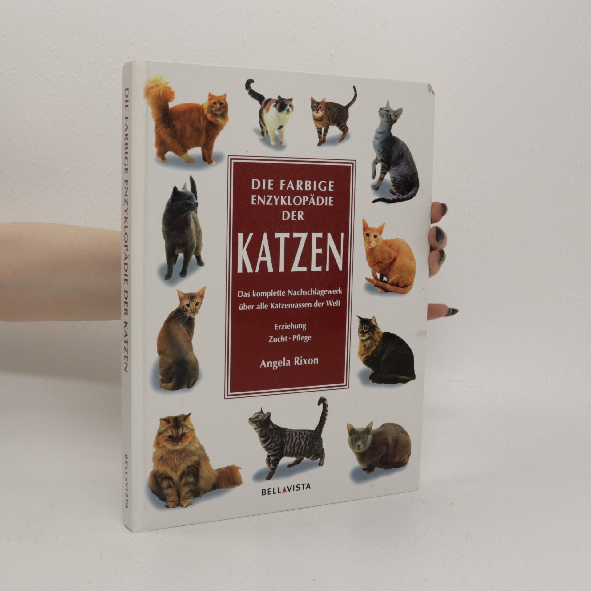 Angela Rixon Die farbige Enzyklopadie der Katzen