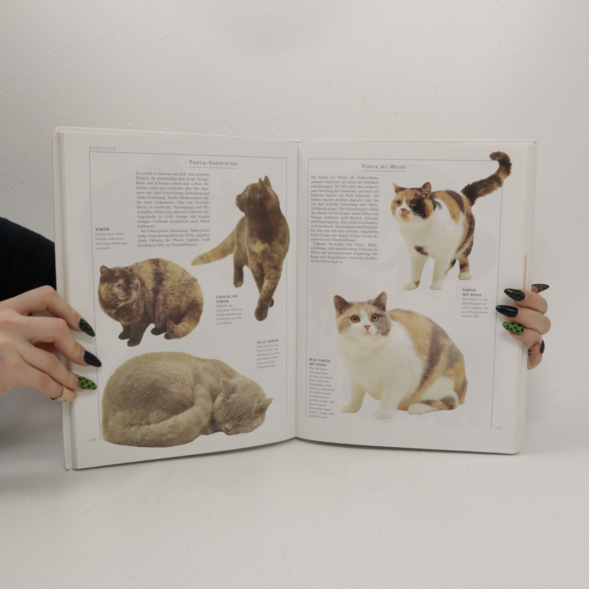 Angela Rixon Die farbige Enzyklopadie der Katzen