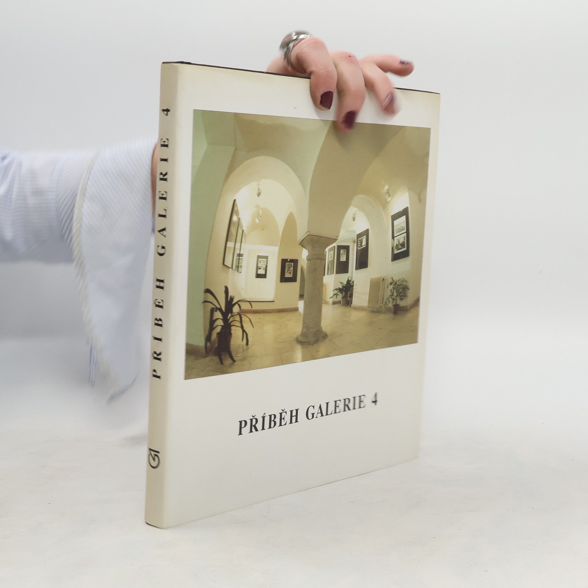 Kolektiv autorů Příběh galerie 4